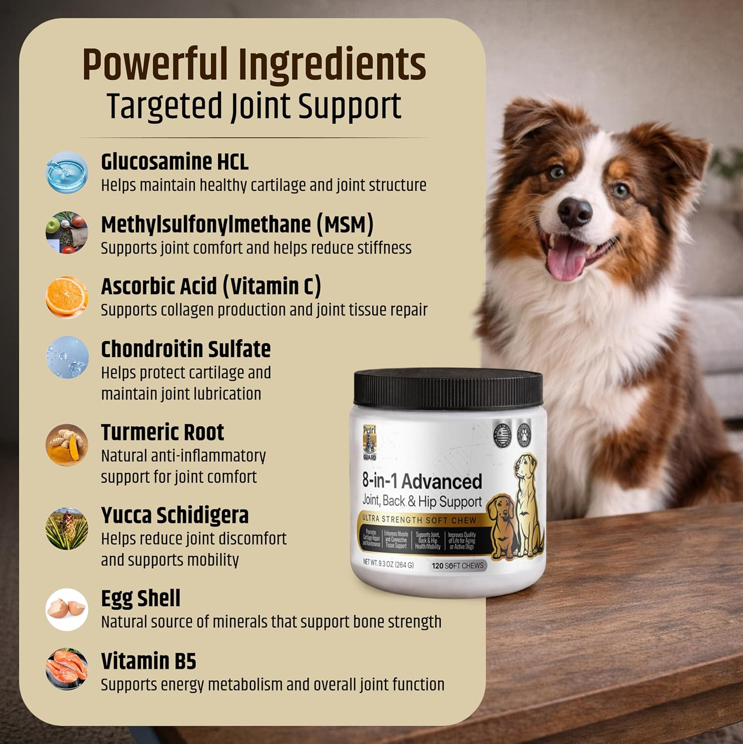 PetriGuard | Advanced Hip, Back & Joint Supplement for Dogs | Ultra Strength Formula w/ 8 Active Ingredients | USA Made & Veterinarian Approved | Glucosamine, Turmeric, MSM + 5 More - 120 Chews