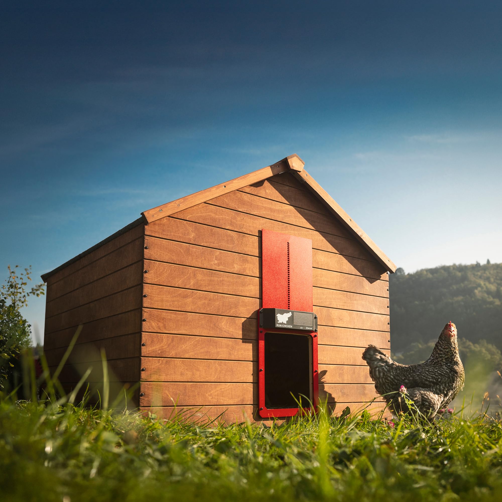 Run‑Chicken Door Eternal Roja – Puerta automática roja para gallineros con energía Solar, batería Recargable de Larga duración, Control por App, Sensor de luz y Aluminio Resistente para Exteriores