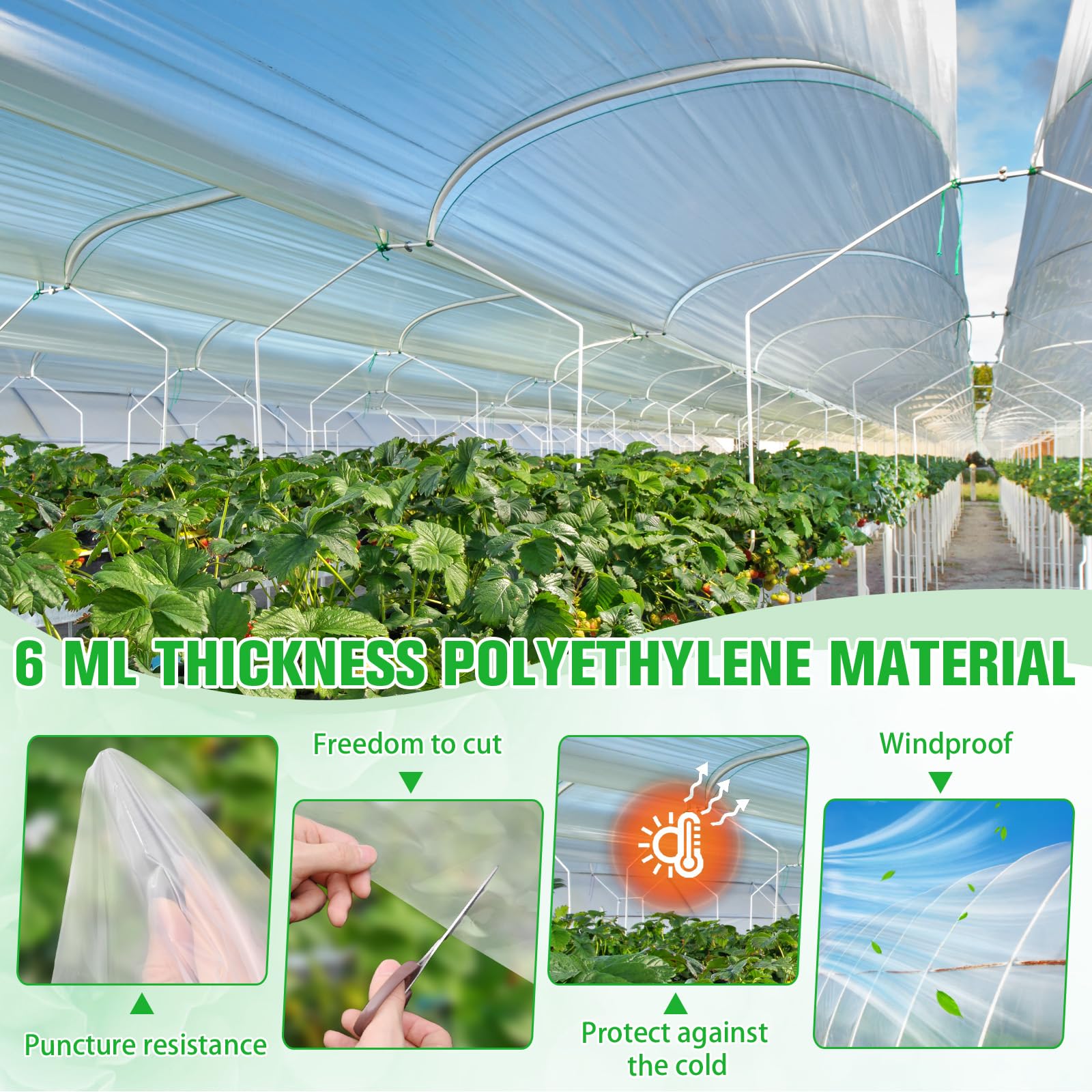 Vevitts Película de plástico para invernadero, lámina de plástico de invernadero de 6 mm de grosor, película de polietileno transparente resistente a los rayos UV para jardinería, agricultura,