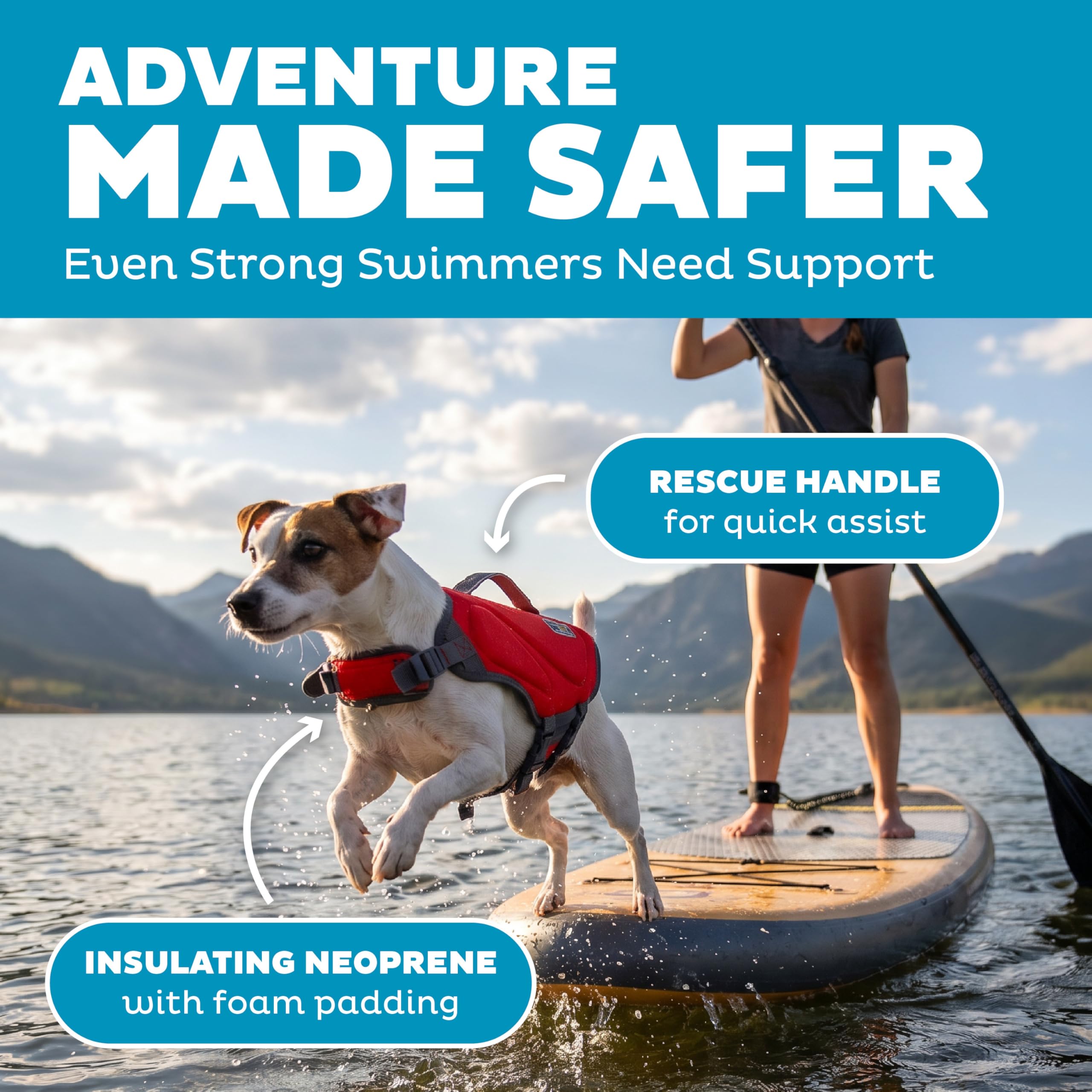 Outward Hound Dawson Swim - Giubbotto di salvataggio per cani, taglia S,
