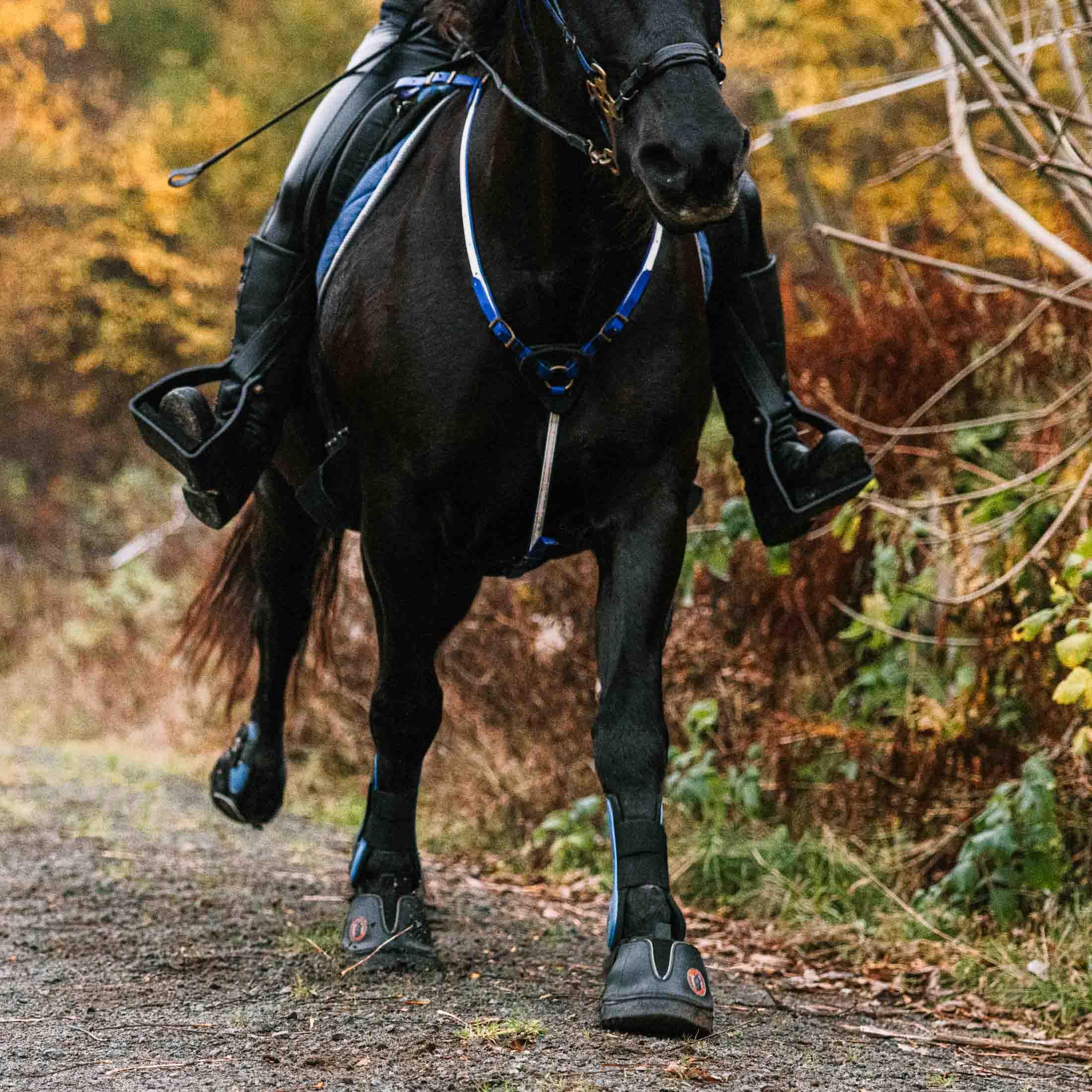 EF Jogging Chaussures à cheval (1) Ultimate 7 Bleu | (1)