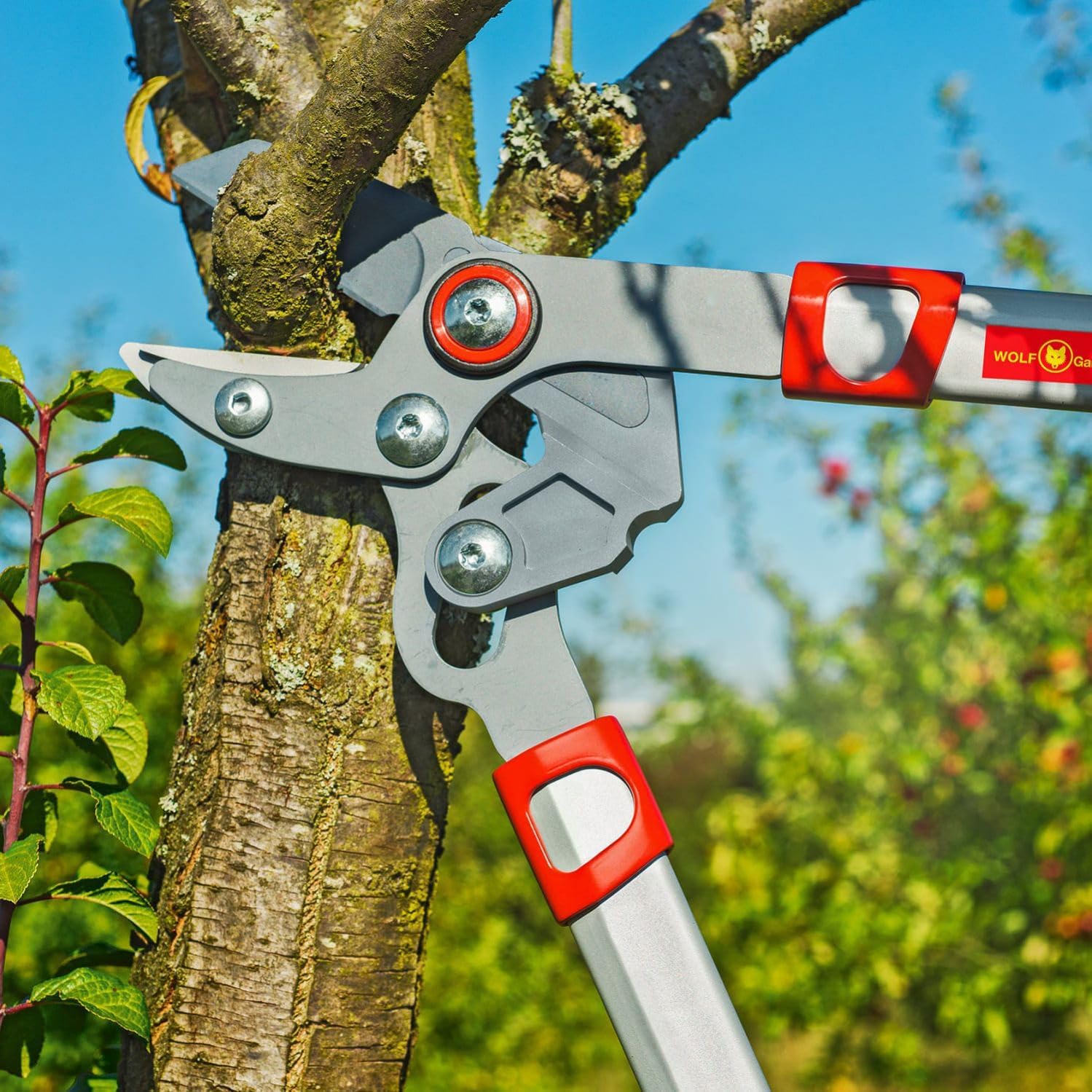 WOLF Garten RR650 Power Cut Bypass Loppers, Red, 40 mm