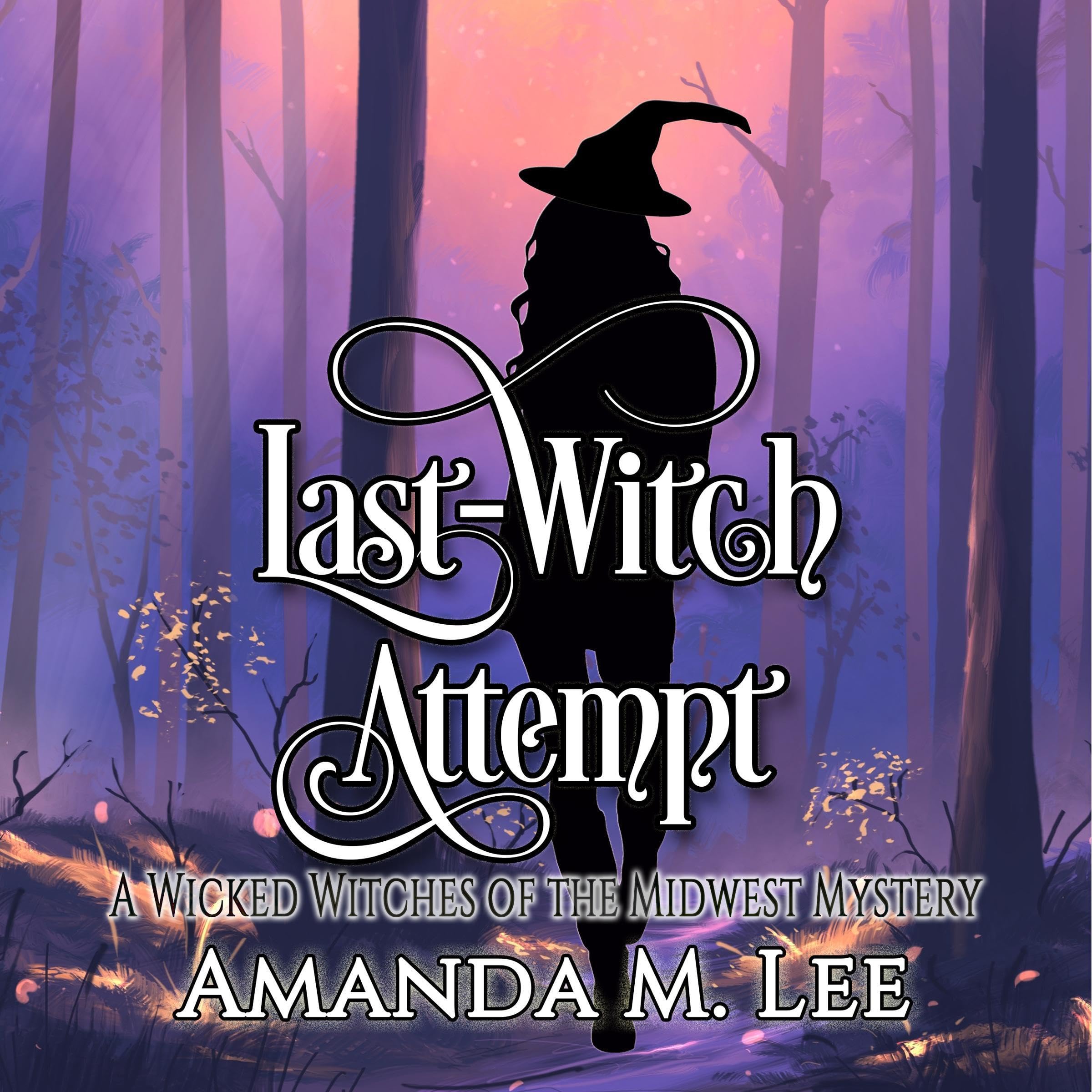 Cover art for Last Witch Attempt