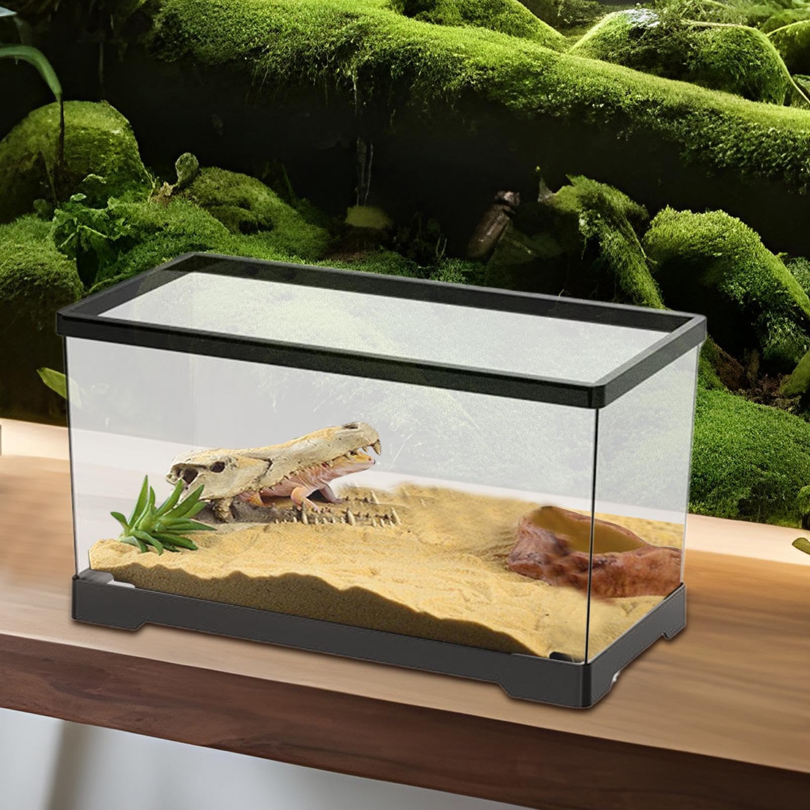Kit Vasca Per Tartarughe | Terrario Per Rettili Con Di Drenaggio,Terrario Con Drenaggio Inferiore Per Anfibi Rettili Rane Granchi Tartarughe Terrestri Gechi E Paguri