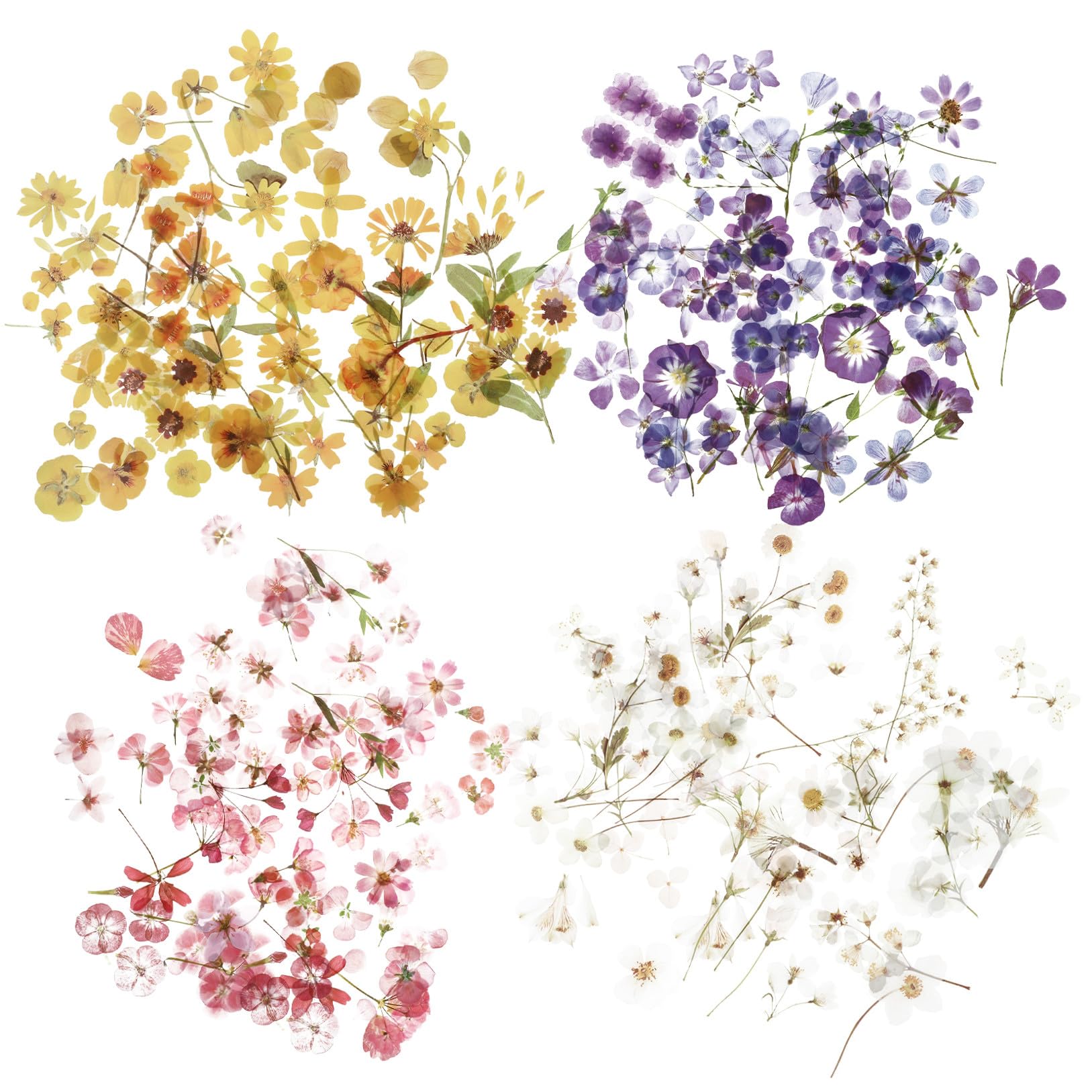 jojofuny 20 Juegos Pegatinas de Flores de Calcomanías Decorativas para Álbumes y Diarios para Manualidades Diy Estilo Retro para Scrapbooking y Decoración Personalizada