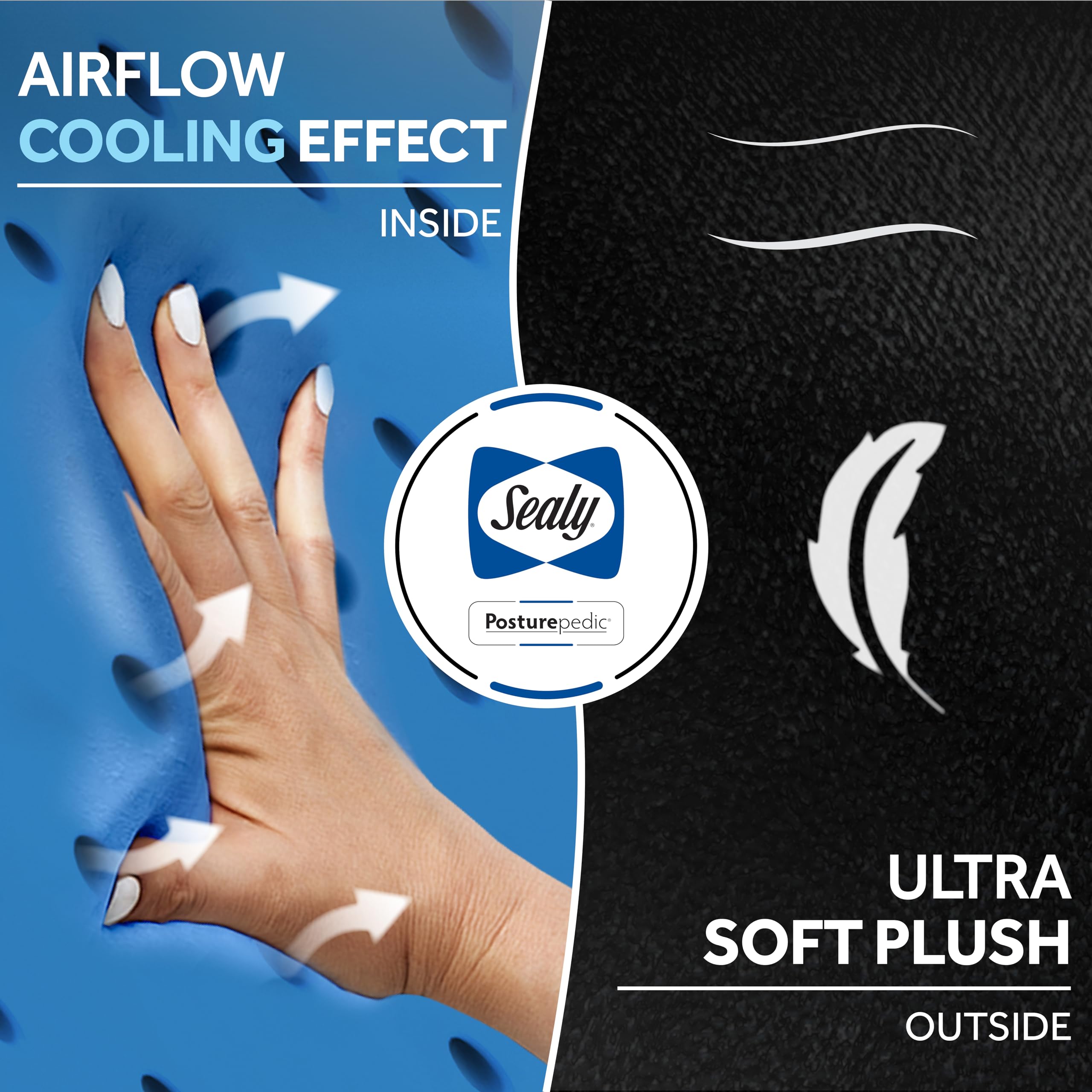 Amazon｜Sealy(シーリー) インフューズドジェルフード付きトラベル