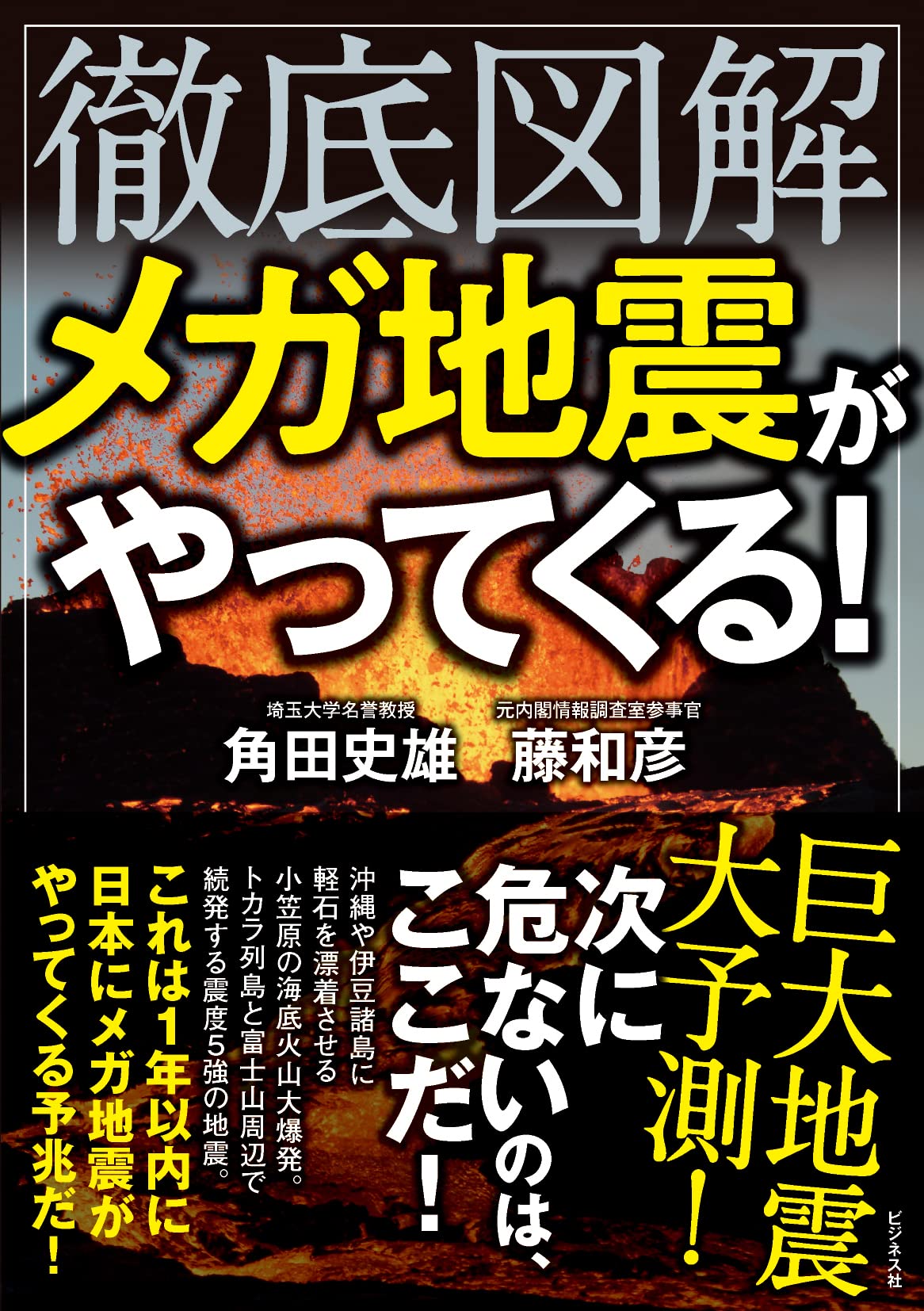 日本人が知りたい巨大地震の疑問50 (サイエンス・アイ新書)
島村 英紀 Amazon.co.jp: 日本人が知りたい巨大地震の疑問50 (サイエンス