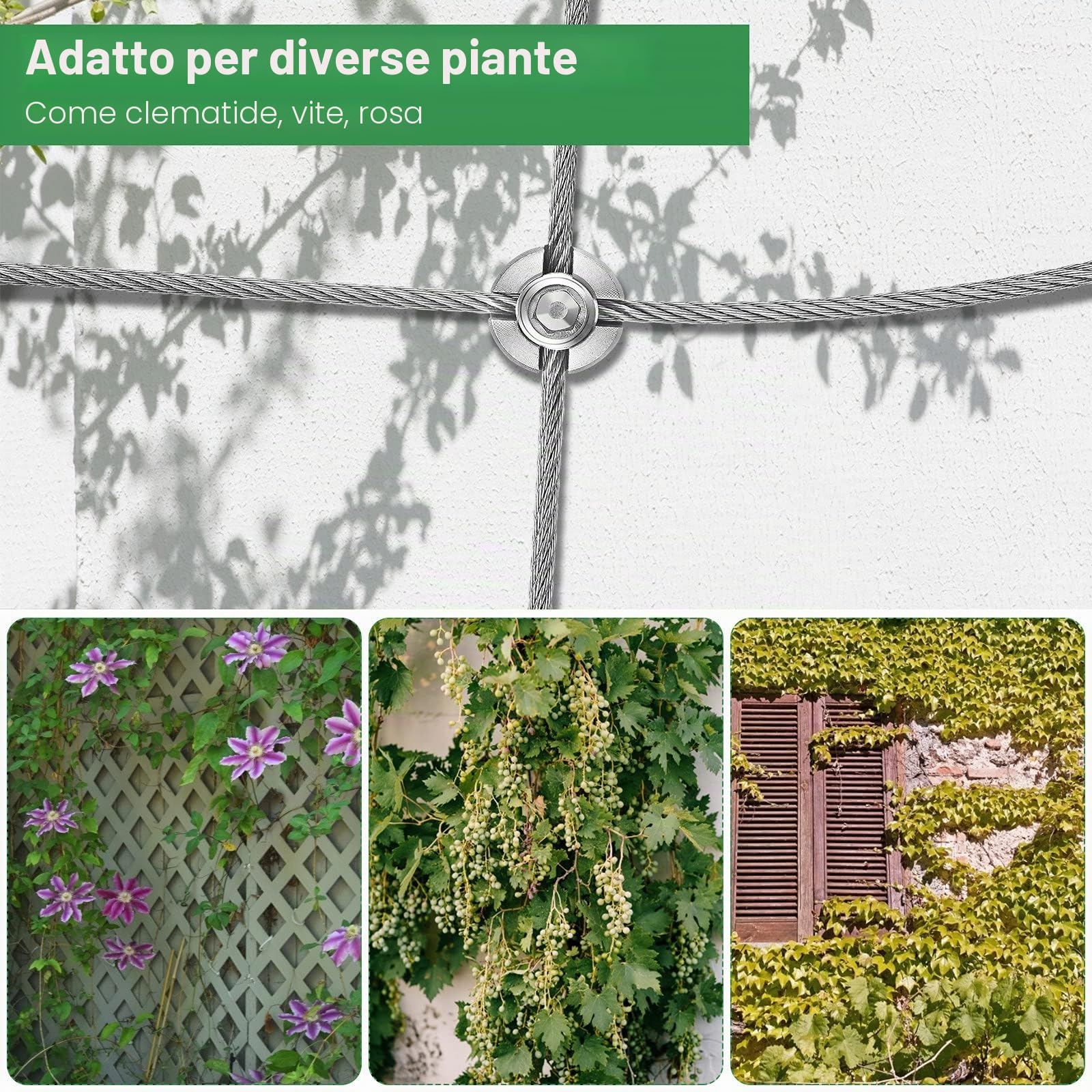 Supporto per piante rampicanti 24 m, kit completo in acciaio inossidabile T316 con 16 supporti da parete e corda da 3 mm