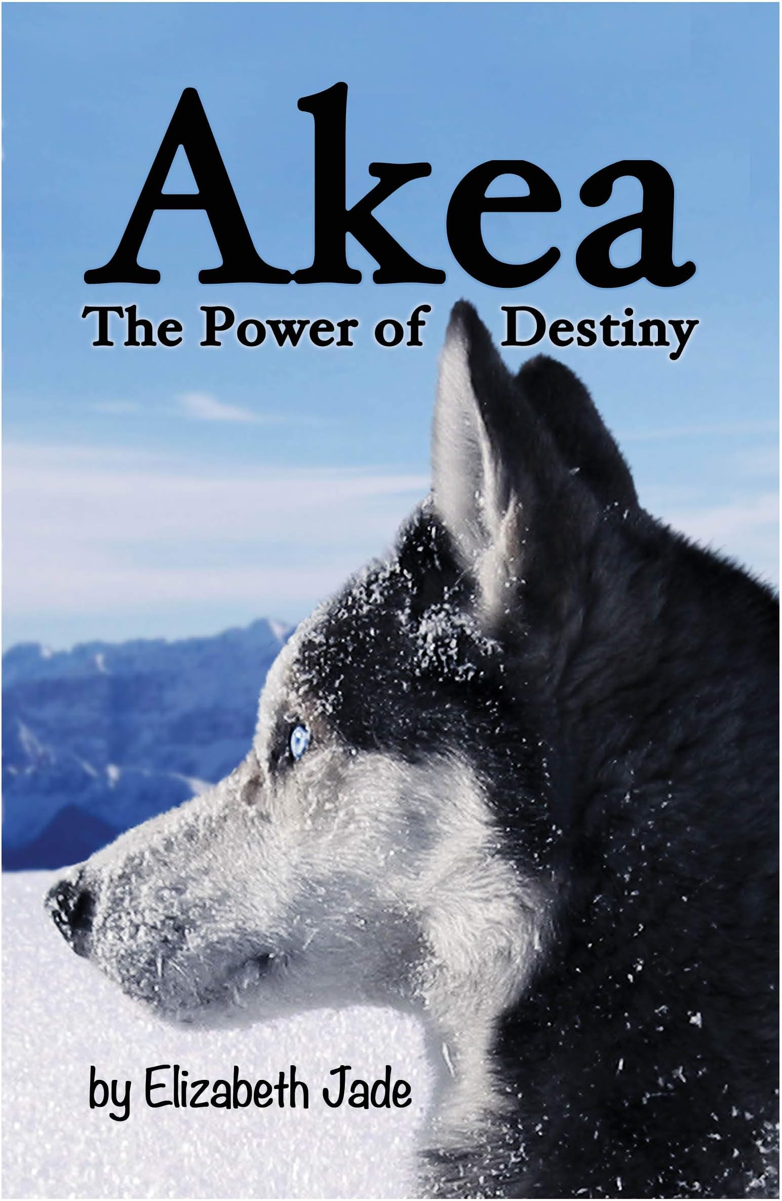 Akea: And Get More Out of Flying