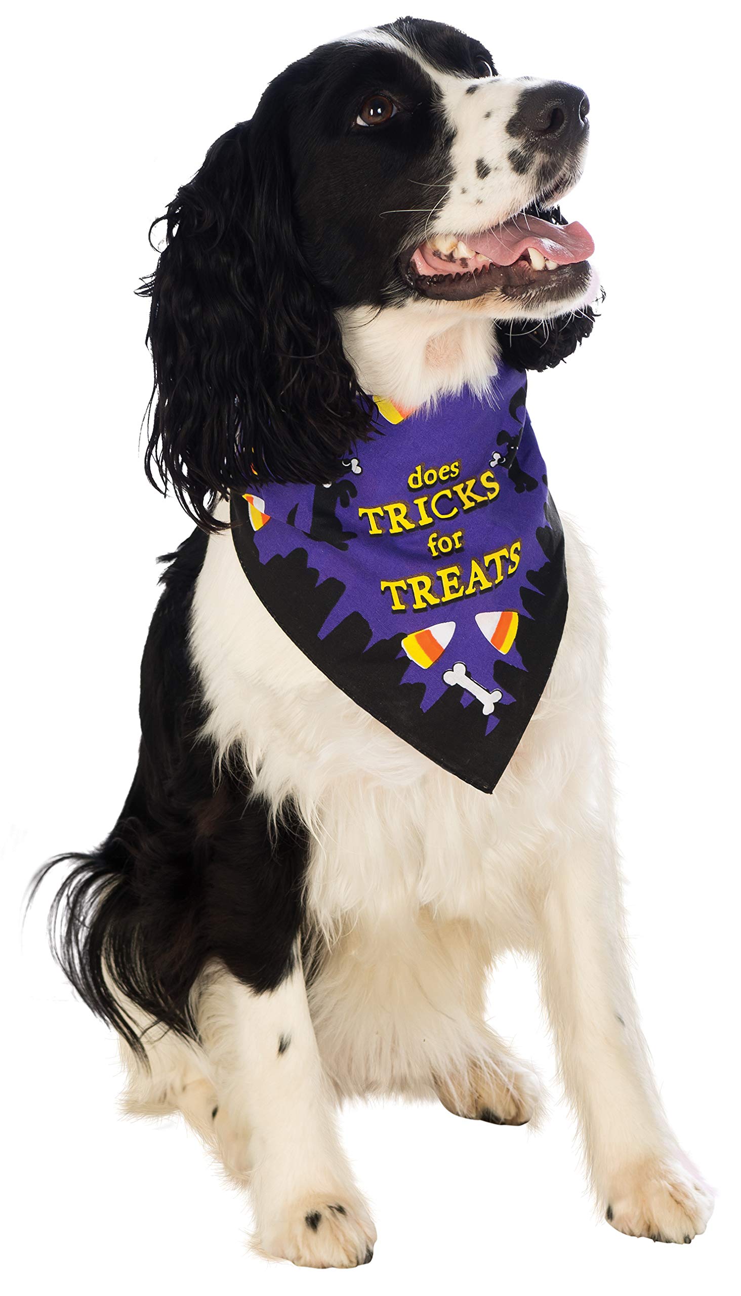 Rubie's Costume Co Trick for Treats Pet Bandana