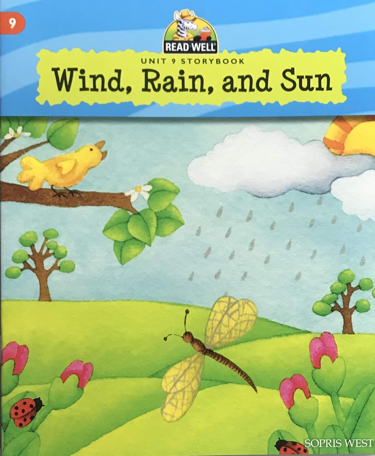 Wind, Rain, and Sun (Read Well Unit 9 Storybook, Level 1) | Amazon.com.br