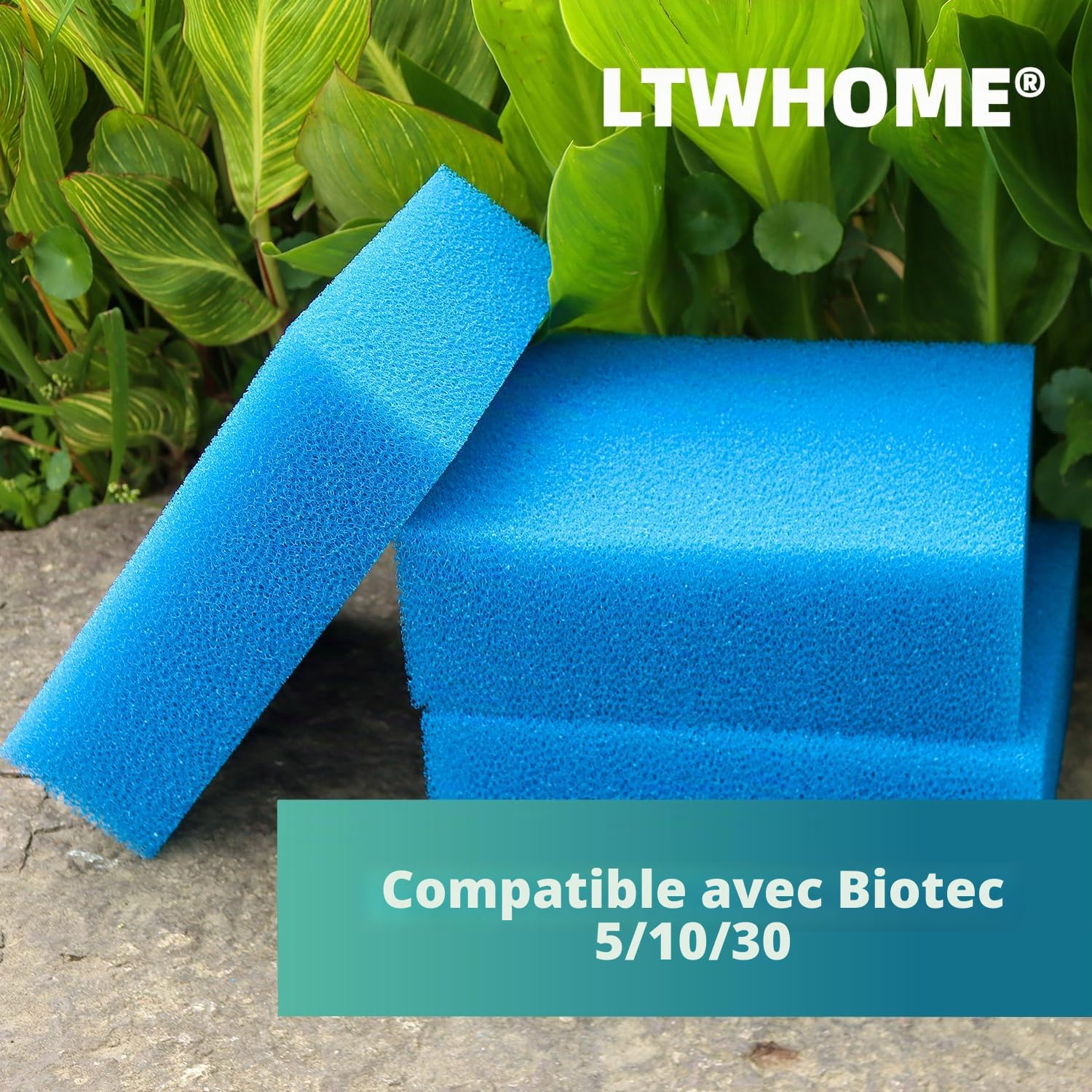 Compatible Remplacement Grossier Mousseux Filtration Eponge Convient pour Oase Biotec 5/10/30 (Paquet de 6)