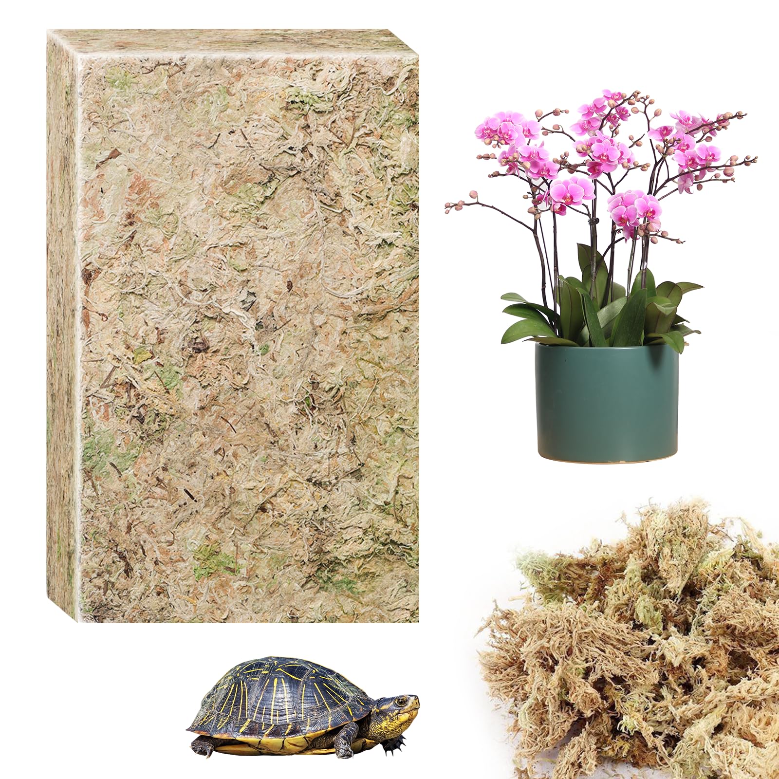 CONNECTION 190g Naturale Sfagno Muschio Secco Muschio di Sfagno per Piante Natural Fotrest Moss Sfagno Vivo per Idrocolture Bonsai Orchidee Giardino Decorazione Terrario Rettili