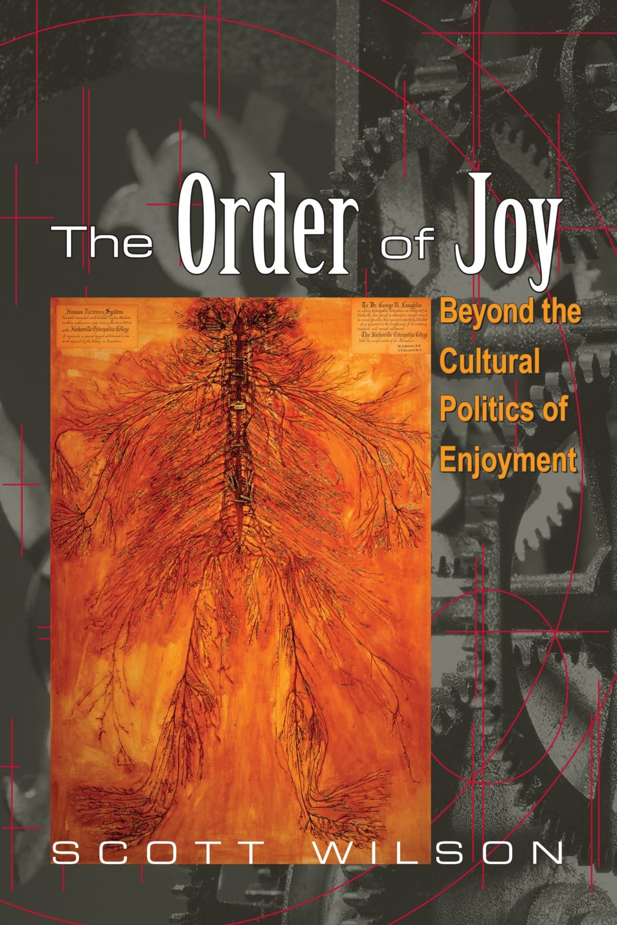 The Order of Joy: Beyond the Cultural Politics of Enjoyment