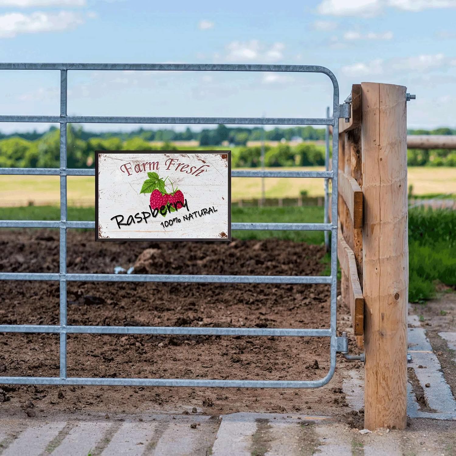 Lygond Metal Sign Tin Sign Vintage Wall Art Natural Raspberry Farm Fresh Organic Food Furit Gardening Sign for Yard 6×8 Inches with Metal Frame