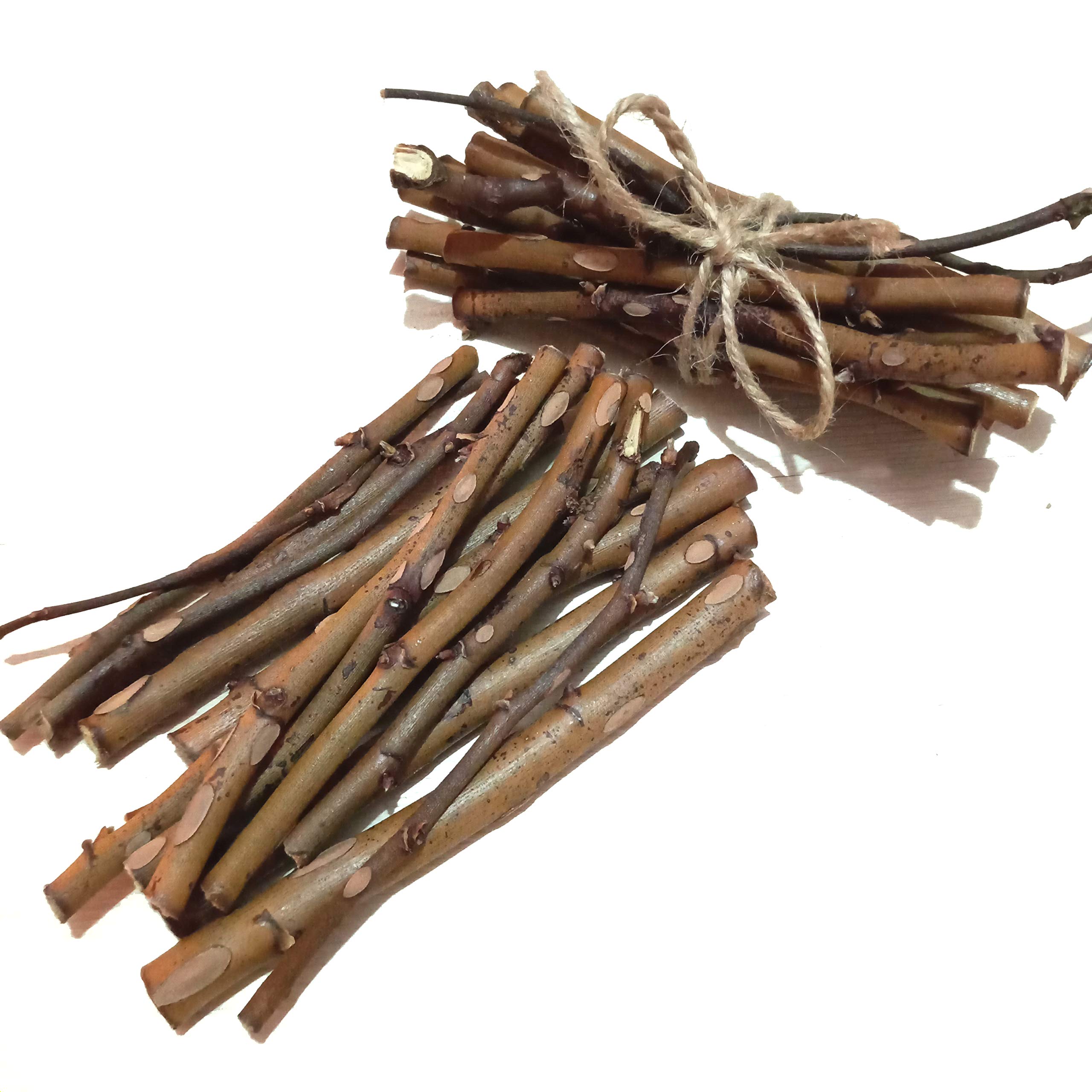 Nature's Goodies Organic Wild Rose Sticks Pet Chew Toy for Rabbits Guinea Pigs Chinchillas and Small Pets