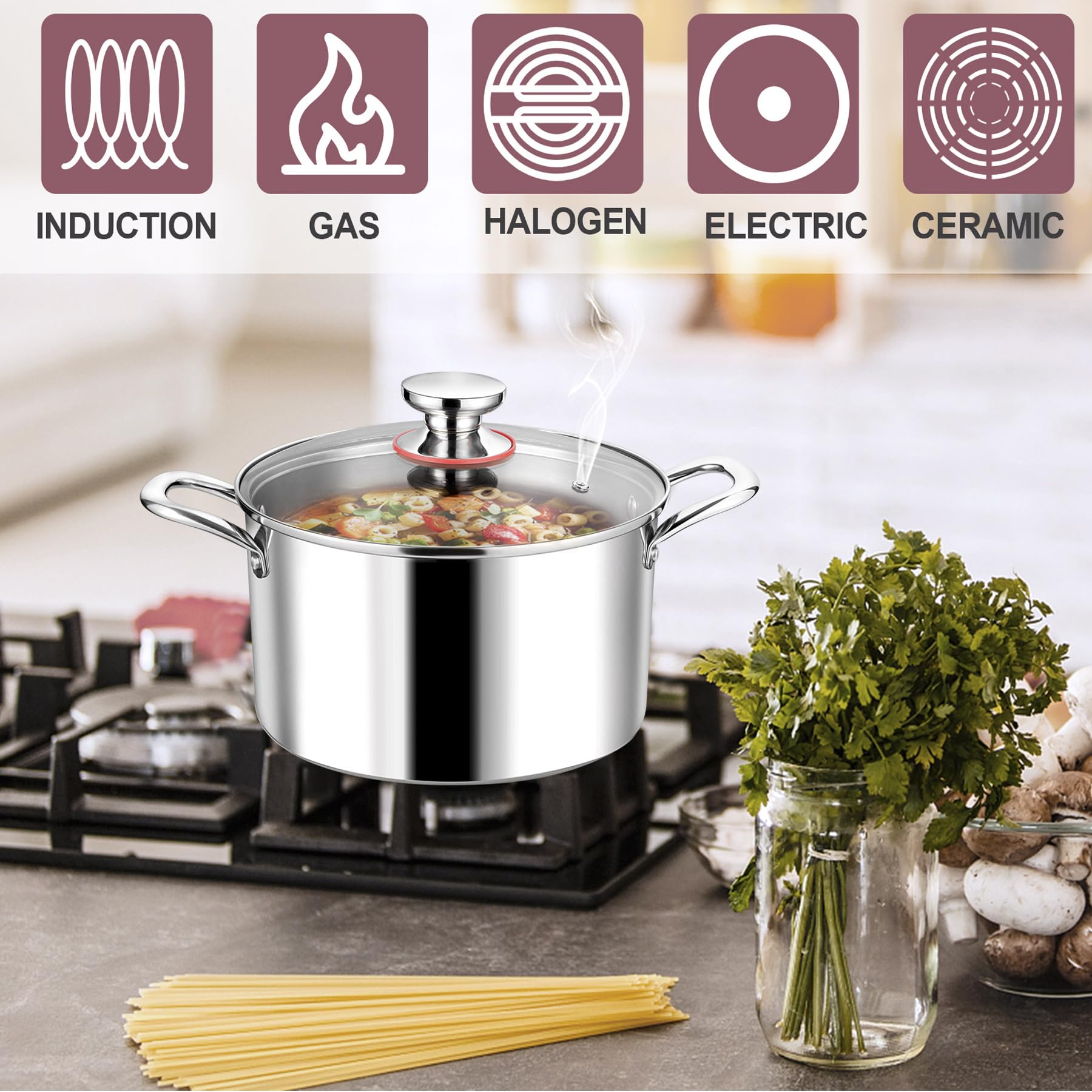 LIANYU Edelstahl Suppentopf 6QT Mit Glasdeckel - 18/10 Induktionstopf | Dreilagig & Spülmaschinenfest