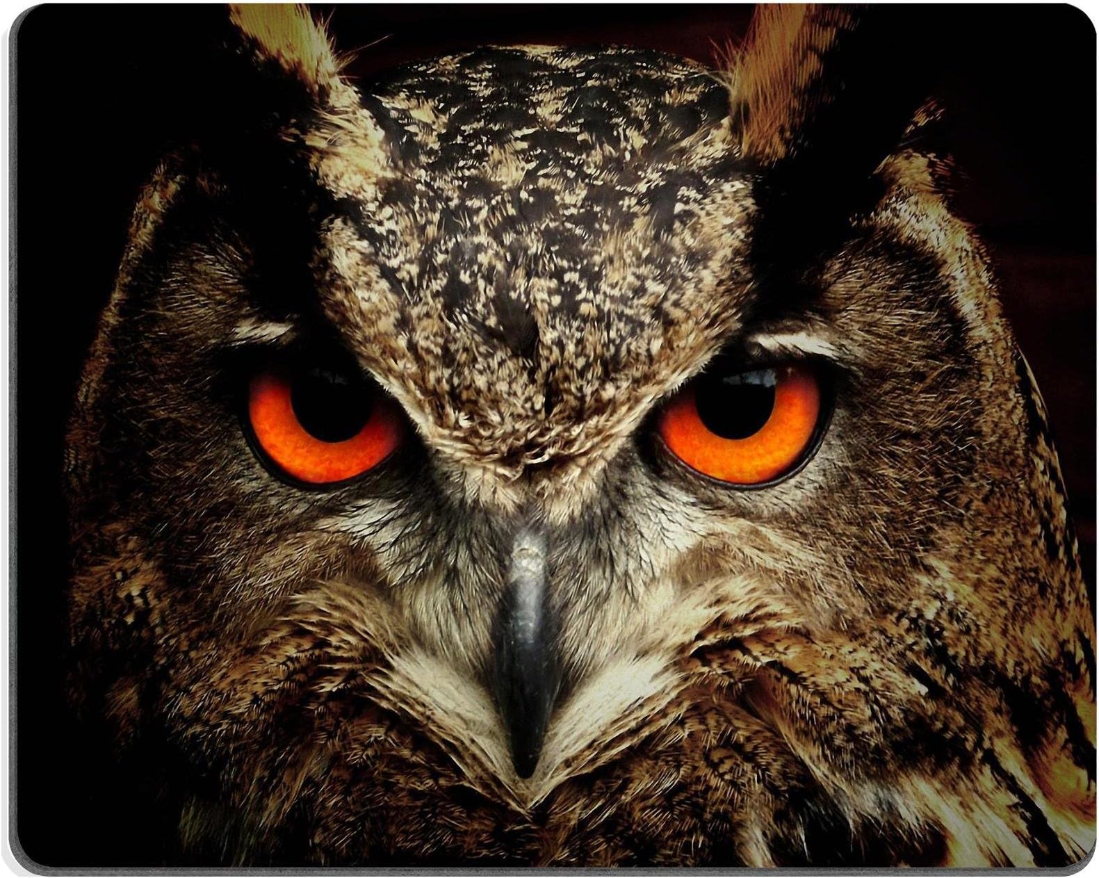 Owl Raptor Nighthawk Bird Minerva Mouse Pads Customized Made to Order Support Ready 9 7/8 Inch (250mm) X 7 7/8 Inch (200mm) X 1/16 Inch (2mm) Eco Friendly Cloth with Neoprene Rubber Luxlady Mouse Pad Desktop Mousepad Laptop Mousepads Comfortable Computer Mouse Mat Cute Gaming Mouse pad