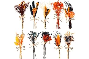 Natural Dried Orange Embossing Black Orange Flowers Mini Dried Flowers Bouquet Halloween Decorations (10 Pack)