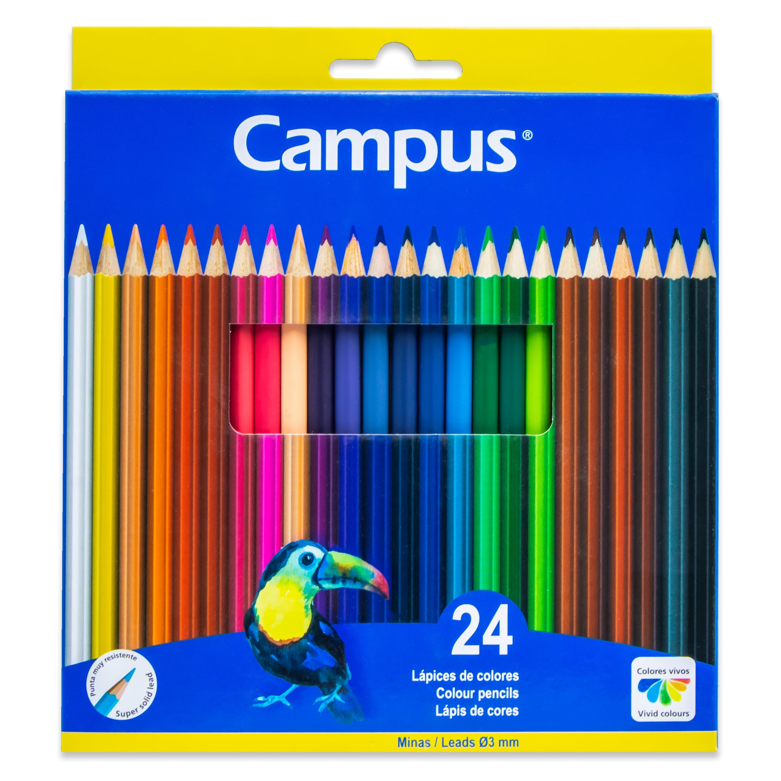 Campus – Lápices de Colores, Caja de 24 Lápices de Madera con Mina Gruesa Más Resistente, Pinturas de Madera Hexagonales de Colores Intensos para Dibujar y Pintar (Pack de 24)