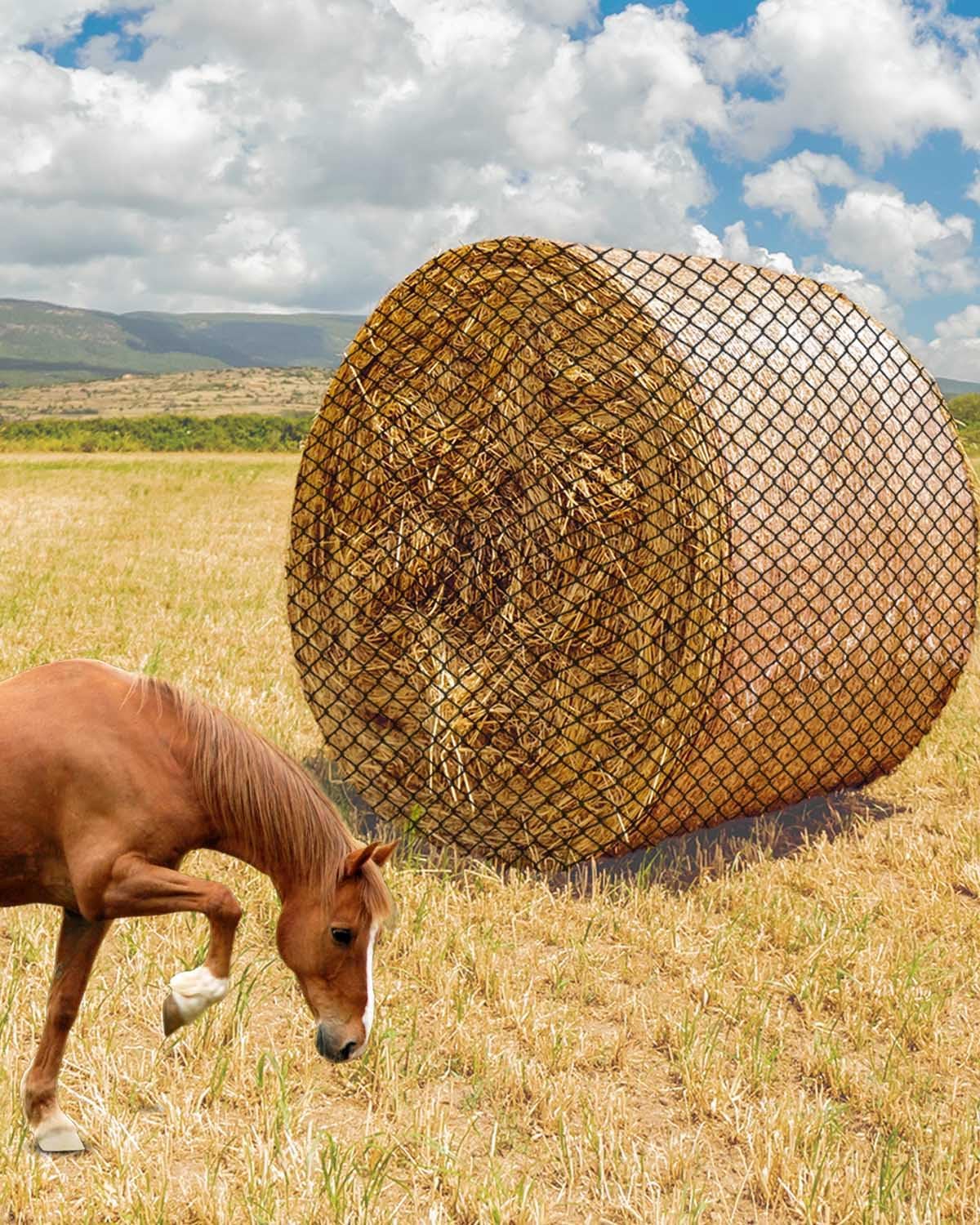 6x6Ft Round Bale Hay Net, Knotless Slow Feeder Hay Net Fits Round Bales 4×4 5×5 6x6ft and Square Bales 3x3x8 4x4x8 5x5x8ft for Horses Cattle Sheep with 1.75in Holes