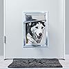 Product Photo 2