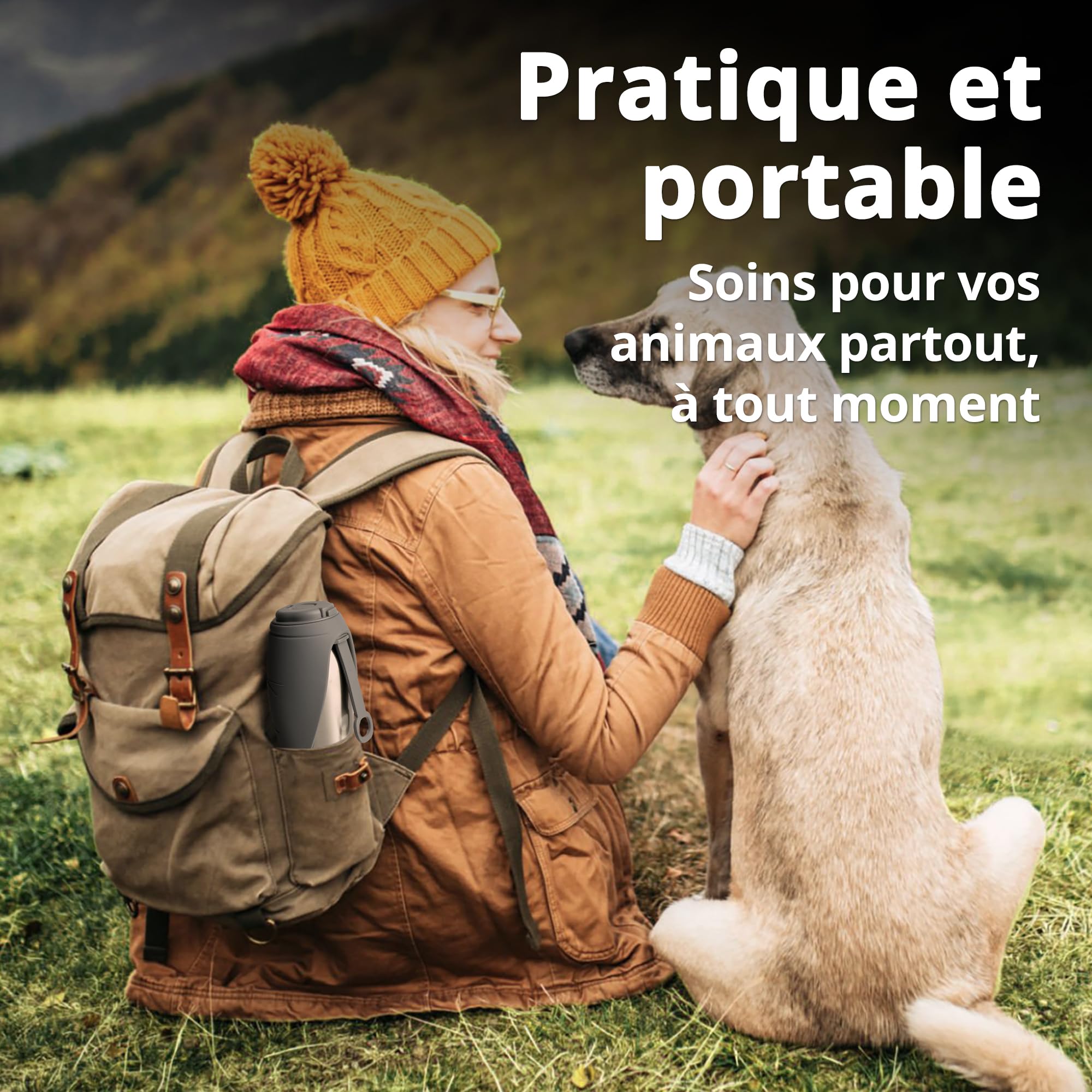 Gourde pour Chiens,750 ML Bouteille d'eau Isolée en Acier Inoxydable pour Chiens, Bouteille d'eau Portable, Double Paroi Isolée sous Vide