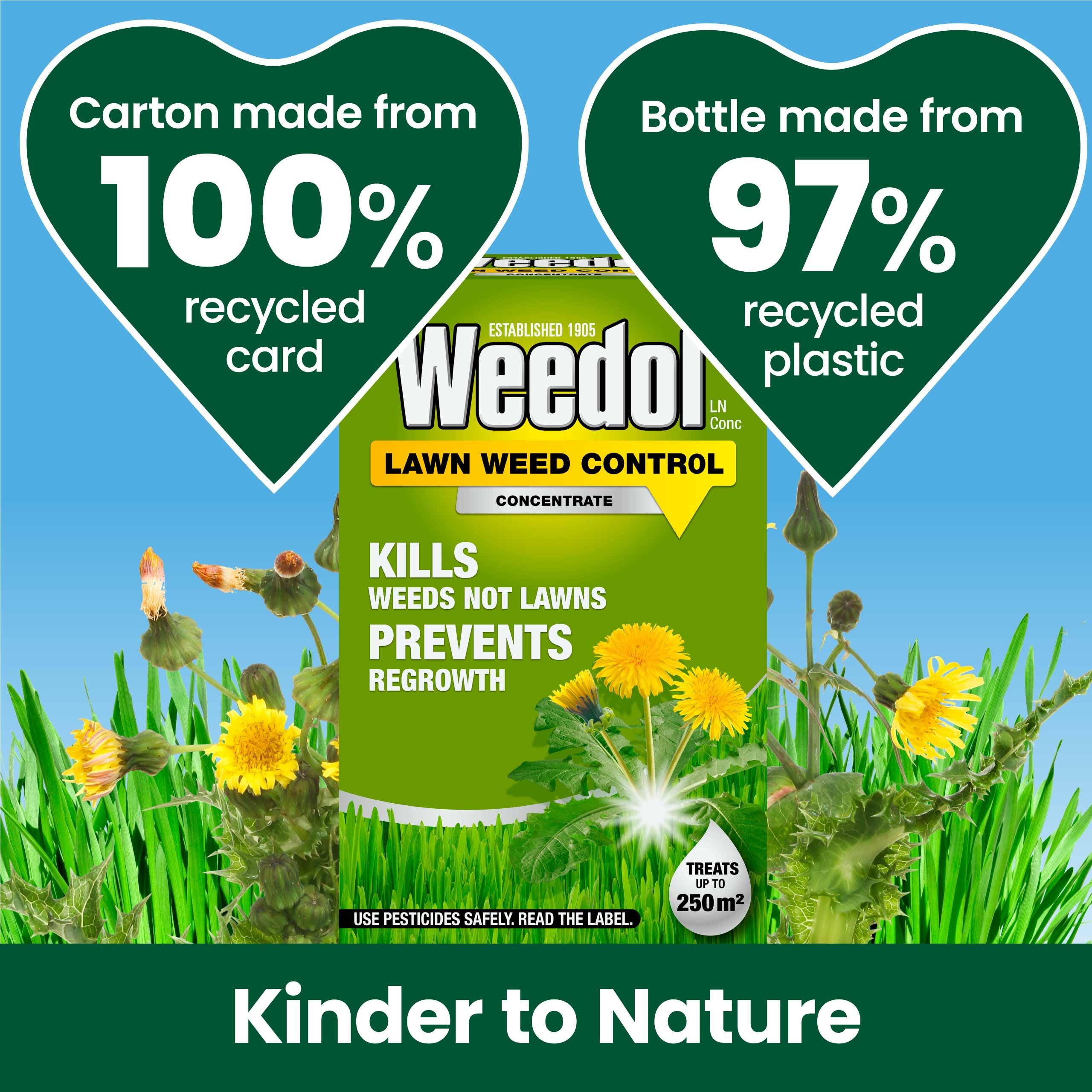 View 5