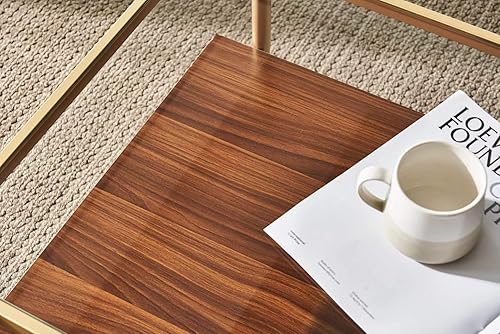 Miniatura 9 de Shrine - Mesa de café rectangular, diseño moderno de mediados de siglo, estructura de 2 niveles, parte superior de vidrio transparente y estante de