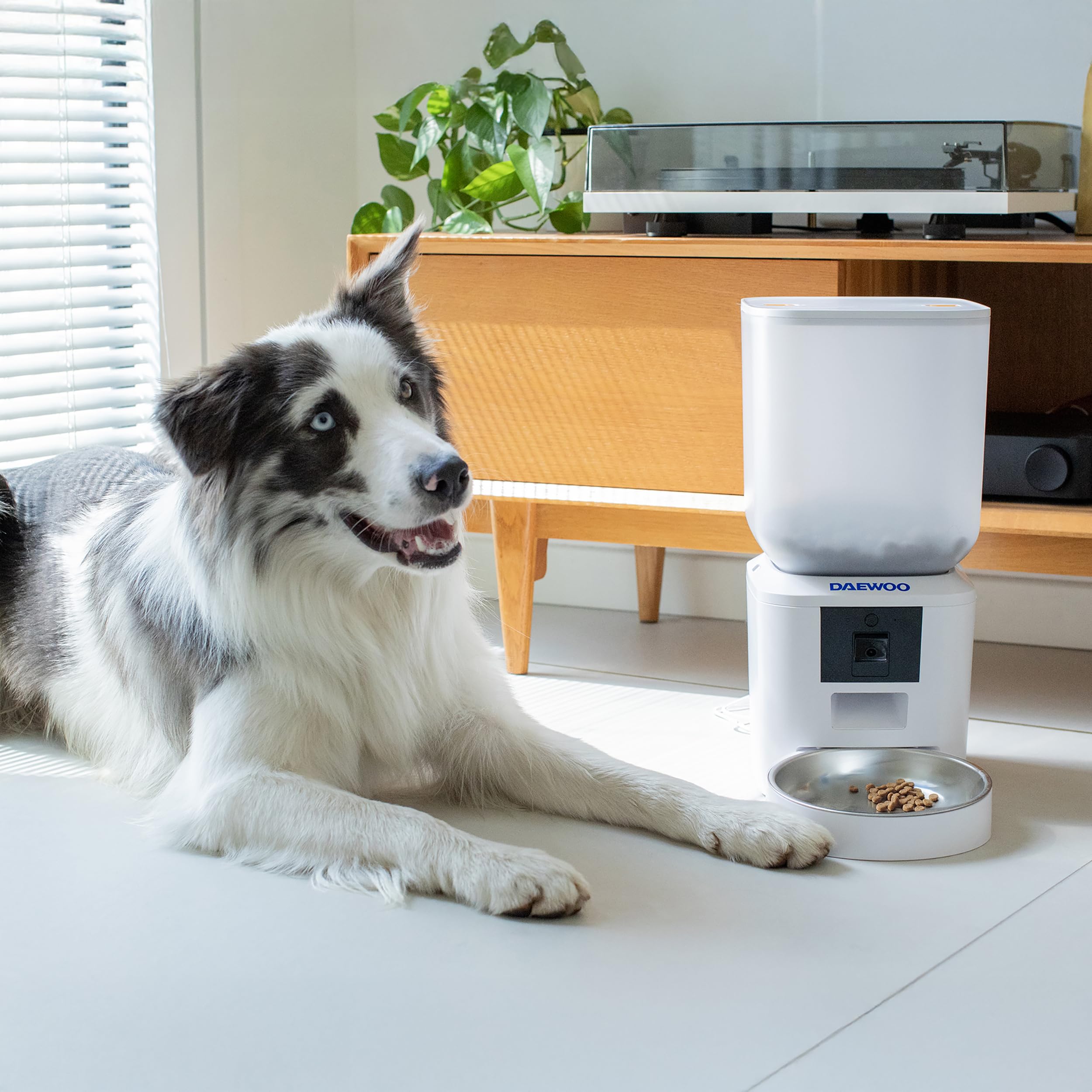 Daewoo - Distributore Automatico Cibo Gatti e Cani con Telecamera HD, Capacità 7L, Alimentazione Programmata Fino a 15 Pasti al Giorno, Microfono Integrato, Controllo Remoto tramite App Tuya