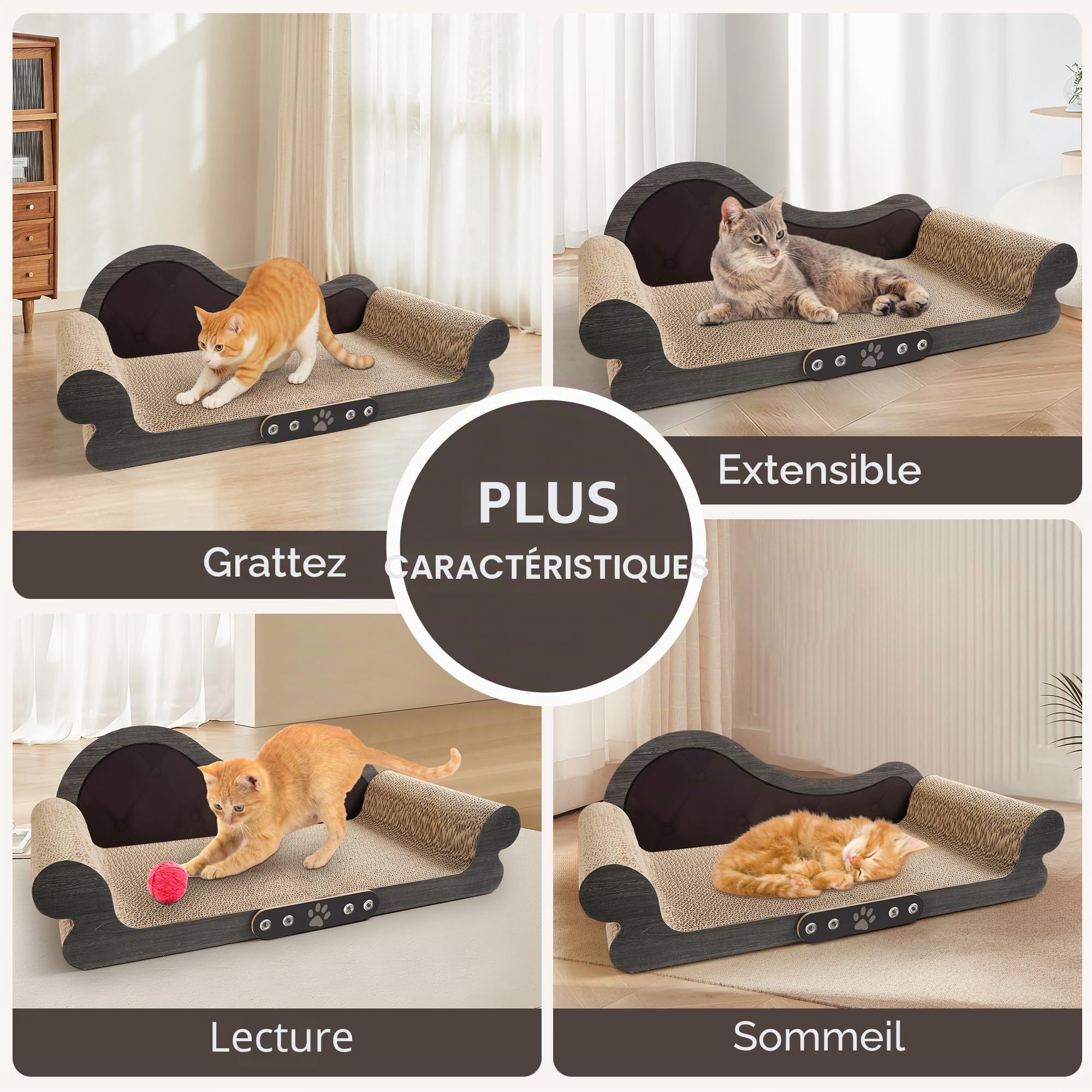 Griffoir pour Chat XXL - Grattoir Chat 68cm Design Canapé - Carton Ondulé Renforcé - pour Lit Chats et Salon
