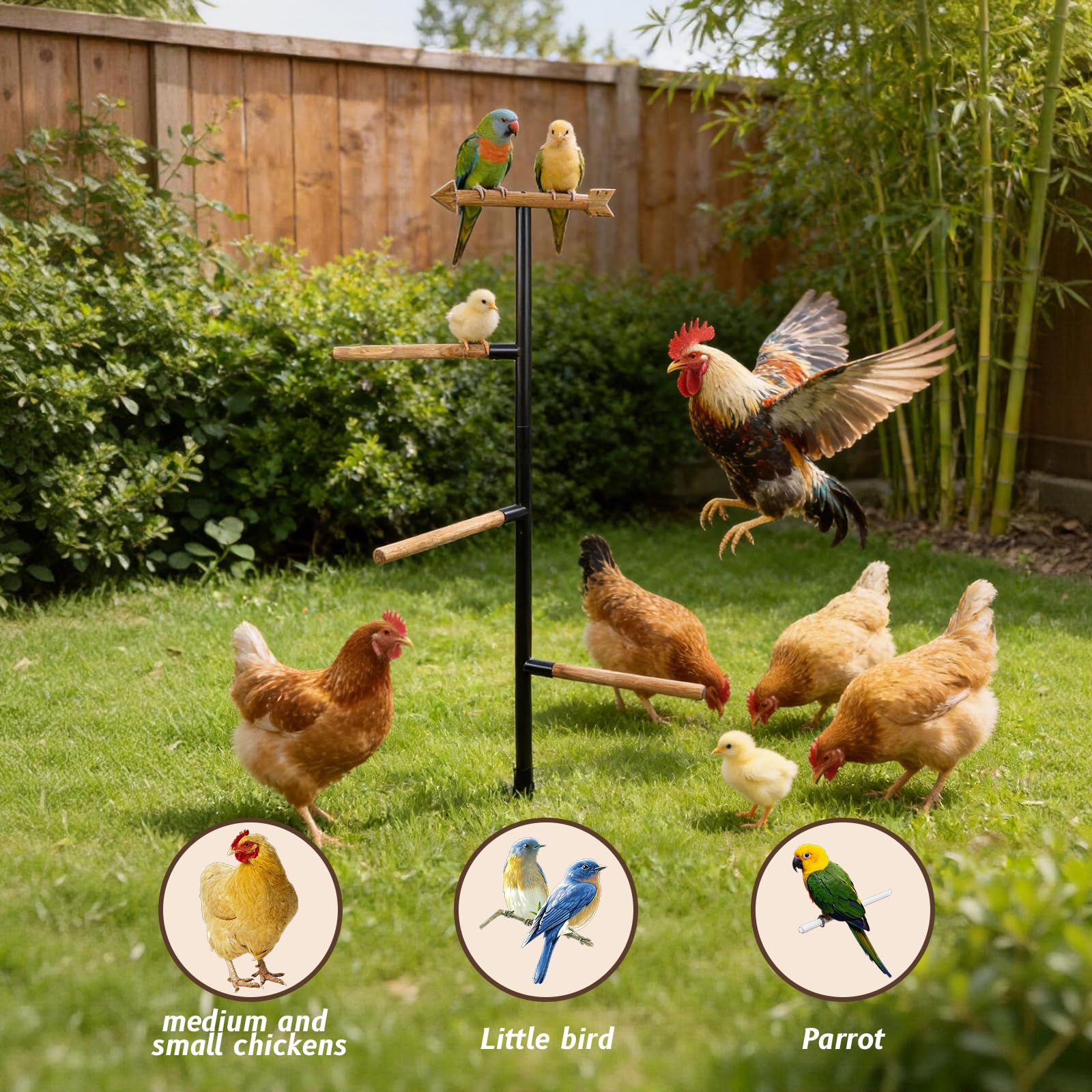 Tnstbiee Percha grande para pollo, percha de madera de 4 ramas y parque infantil para pájaros al aire libre, barras de gallinero para gallinero y patio trasero, 57 pulgadas de alto x 16.5 pulgadas R
