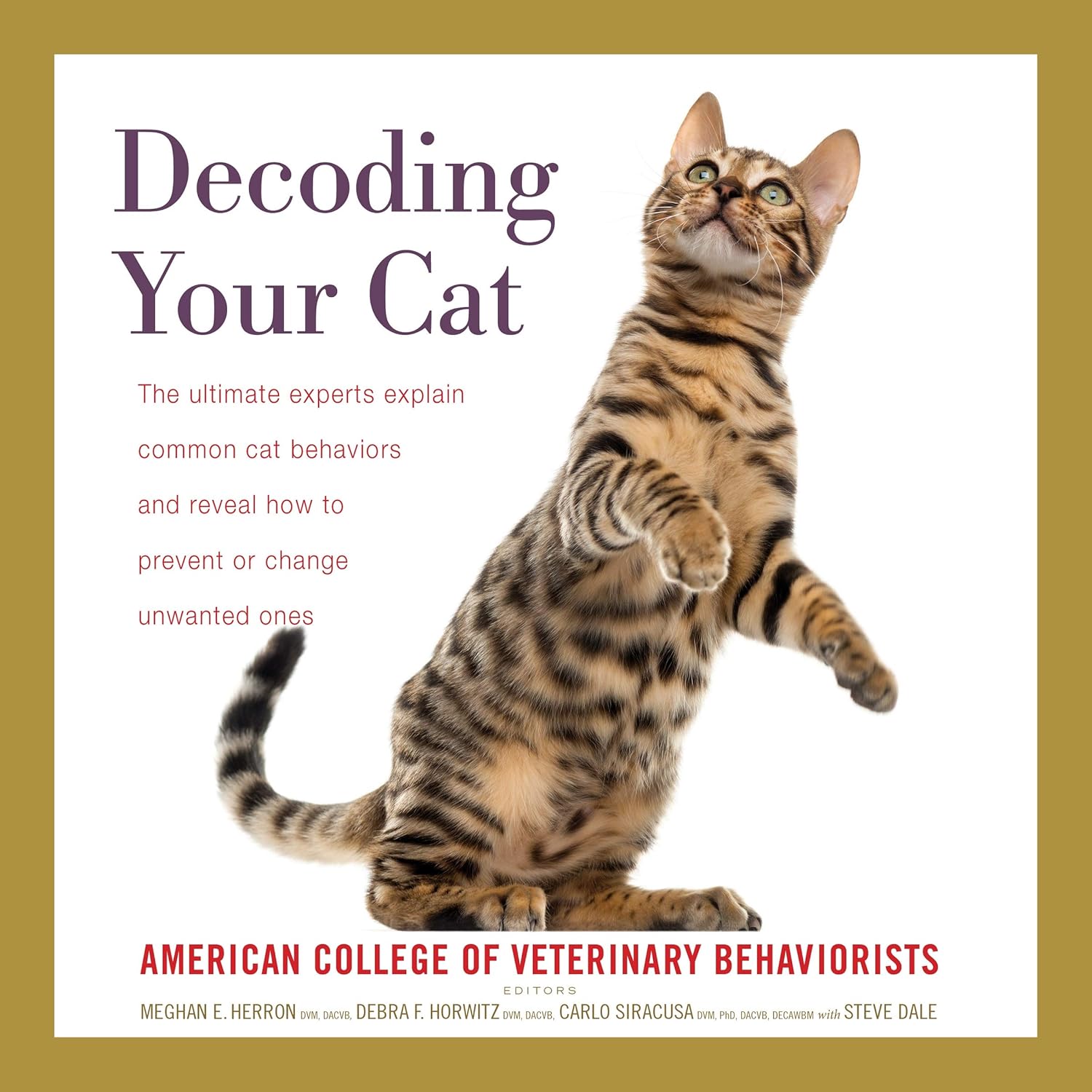 Decoding Your Cat The Ultimate Experts Explain Common Cat Behaviors