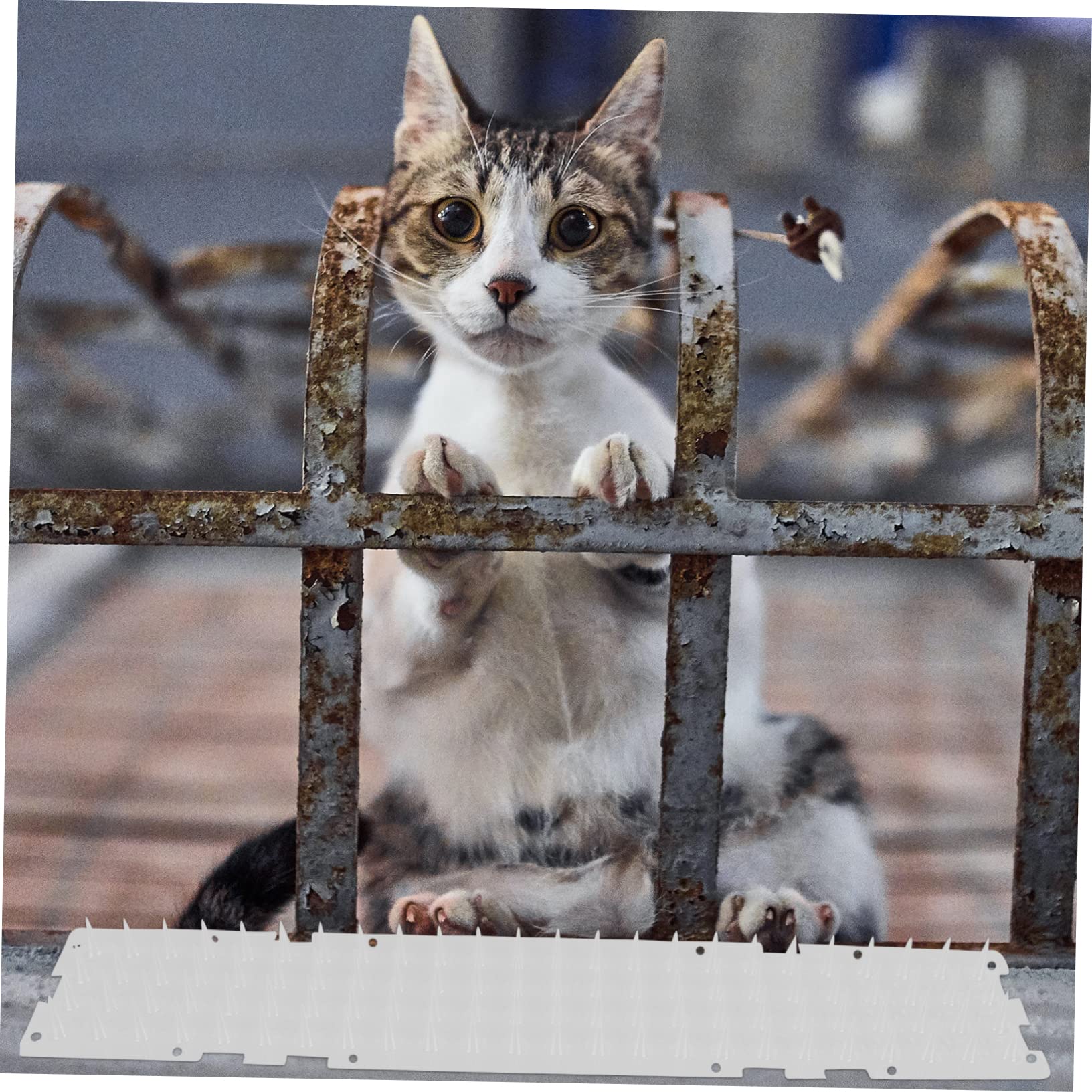 Katzenmatte mit Dornen Langlebige Kunststoff Spikematte für Balkon und Garten Anti Katzen Schutz Tierabwehrend für Pflanzen und Blumentöpfe