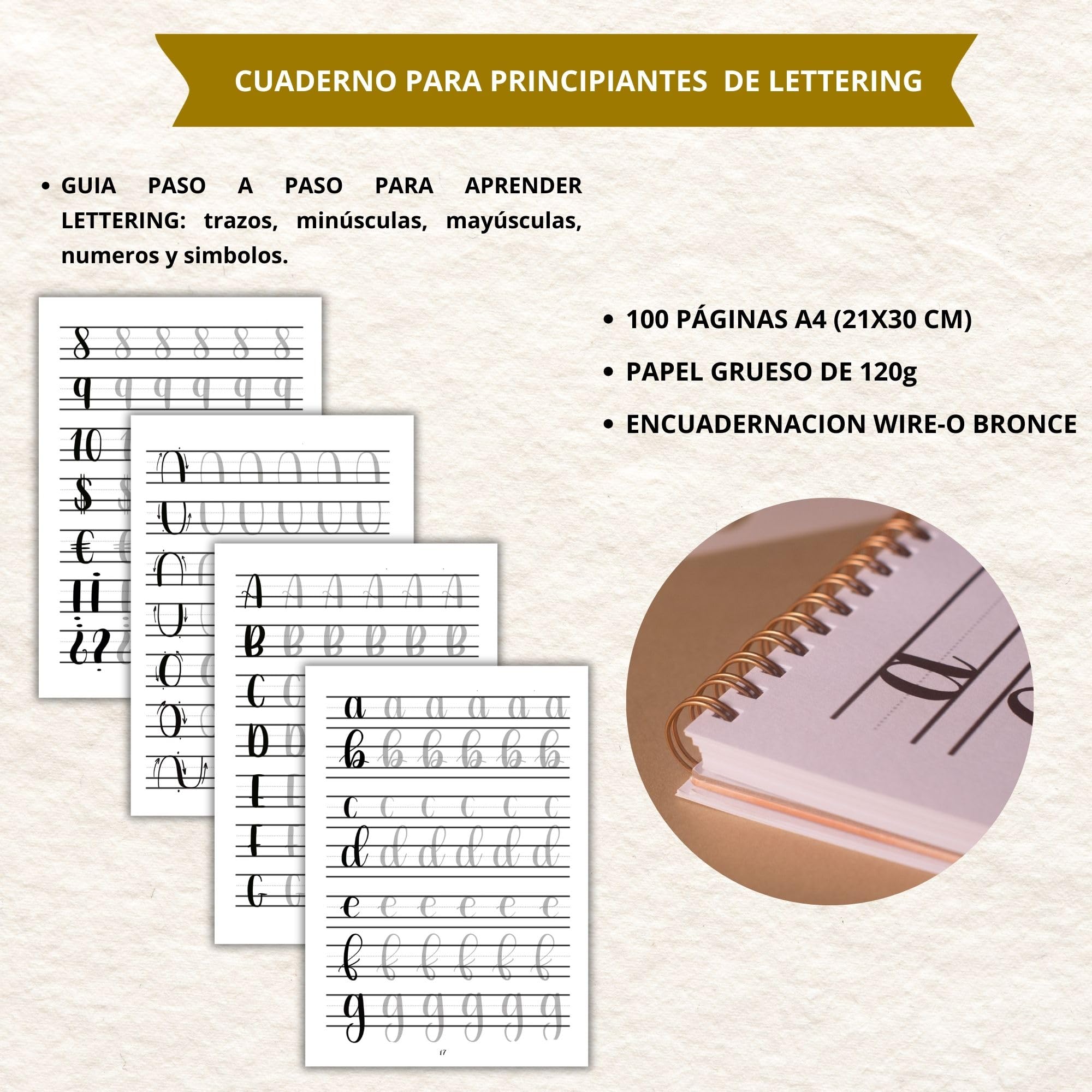 Winund Kit Lettering et Calligraphie pour Débutants et Adultes – Set Complet avec Feutres de Lettering et Cahier d’Exercices – Idée Cadeau Créative (FRANÇAIS)