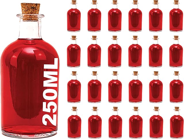 casavetro 250ml Glass Bottles with Cork Lids 24 Pcs Reusable Airtight Glass Bottle for Home Made Sloe Gin Liqueur Schnapps Wine Cider Soda Vodka Vinegar Oil Bottles - New-Bost (24 x 250 ml)