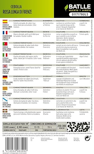 Miniatura 3 de Cebolla Rosa Cebolla Pulmón Firenza