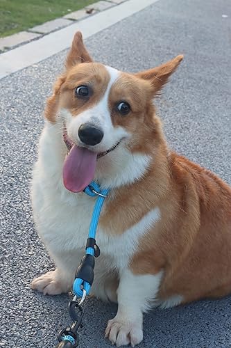 Miniatura 7 de LOS ANDES Collar antideslizante para perro, collar antitirones para perros, collares deslizantes con tapón deslizable, collar de entrenamiento para