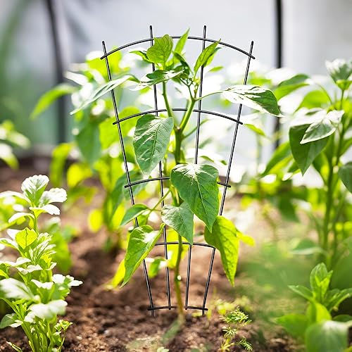 Miniatura 7 de Paquete de 4 enrejados para plantas de interior de 32 pulgadas para plantas en maceta, trepadoras de metal al aire libre, enrejado de jardín,