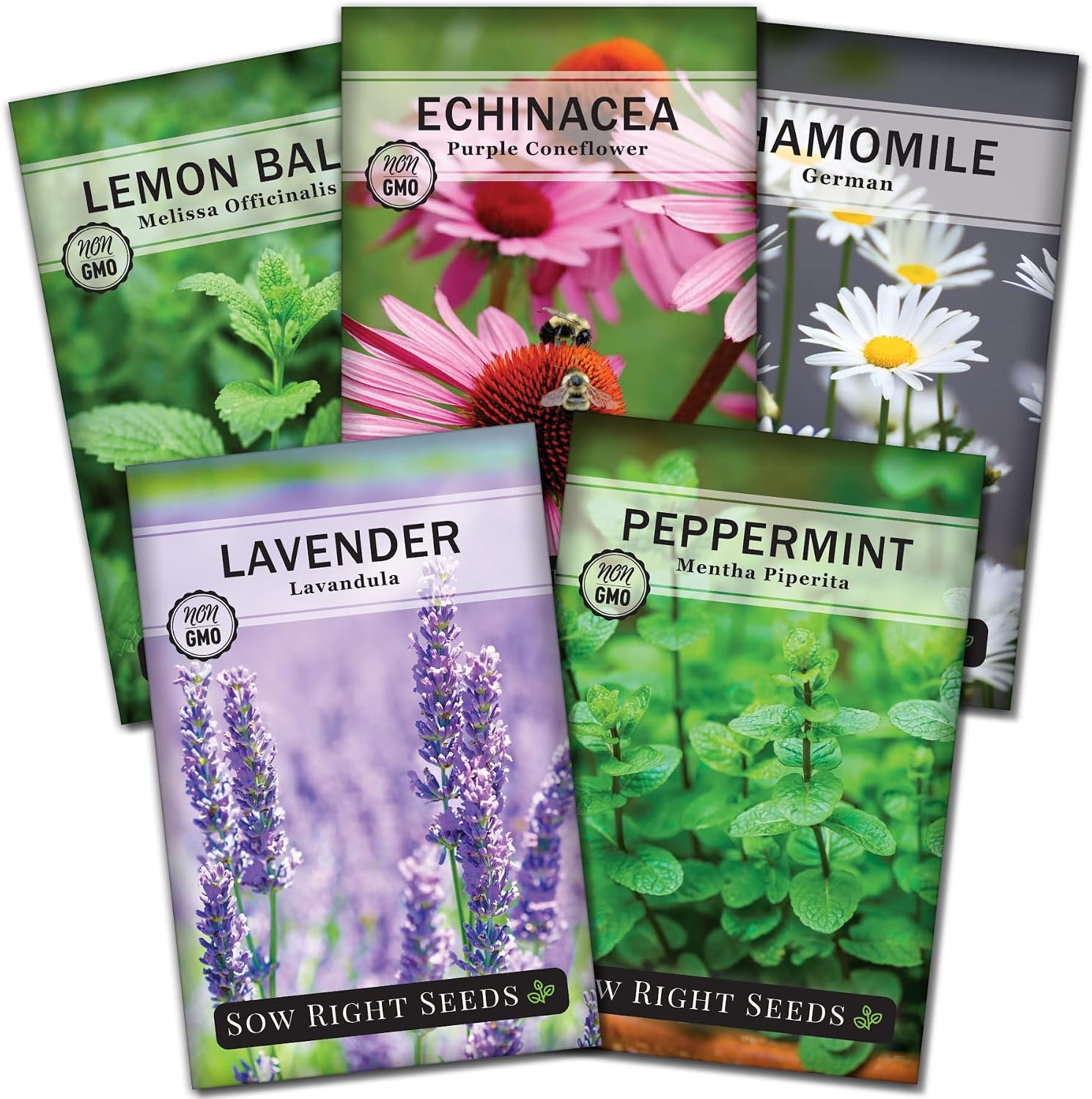 Sow Right Seeds - Herbal Tea Collection - Lemon Balm, Chamomile, Peppermint, Lavender, Echinacea Herb Seed for Planting; Non-GMO Heirloom Seed, Instructions to Plant Indoor or Outdoor; Gardening Gift