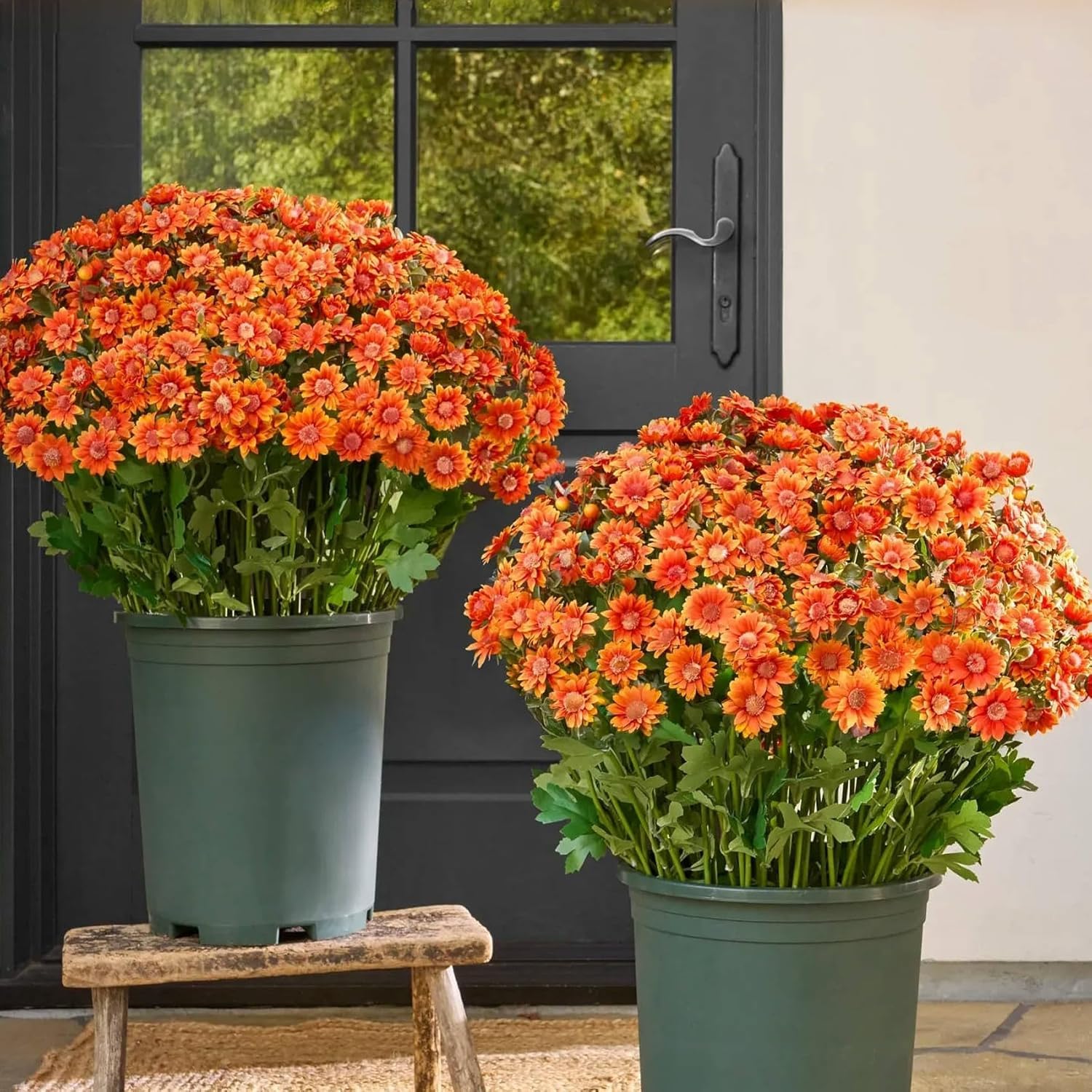 nachili Artificial Outdoor Sunset Mums Flowers, Never Faded, Waterproof, Windproof, Look Real, Full, Vibrant