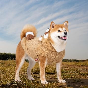 Funny Raccoon Dog Costume for Halloween,Thick Fleece Pet Cat Coat Jacket Winter Warm Clothes for Small Medium Large Dogs (Brown, Medium)