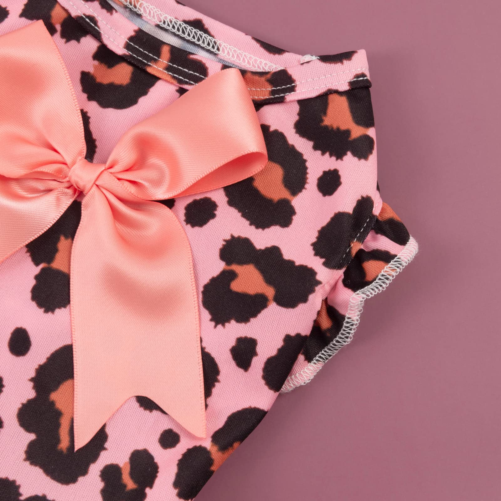 CuteBone Dog Dress Girl Puppy Double Layers Skirt Cat Outfit Pet Clothes for Small Dogs Costume Birthday Gift DR23XXS