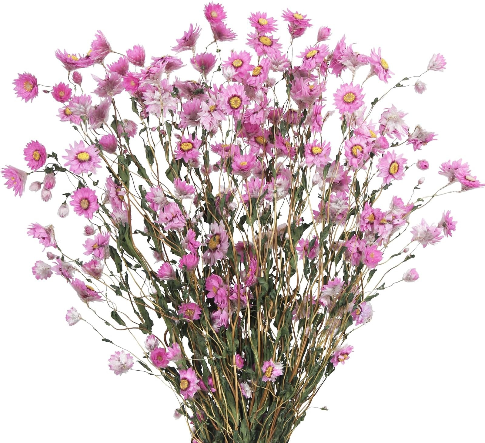 CITYES Dried Daisy Flowers Bouquet Dried Flowers Pink with Stems Real Chrysanthemum Gerber Daisies Arrangements for Wedding Farmhouse Vase Decorations DIY Home Party Wildflower Decor