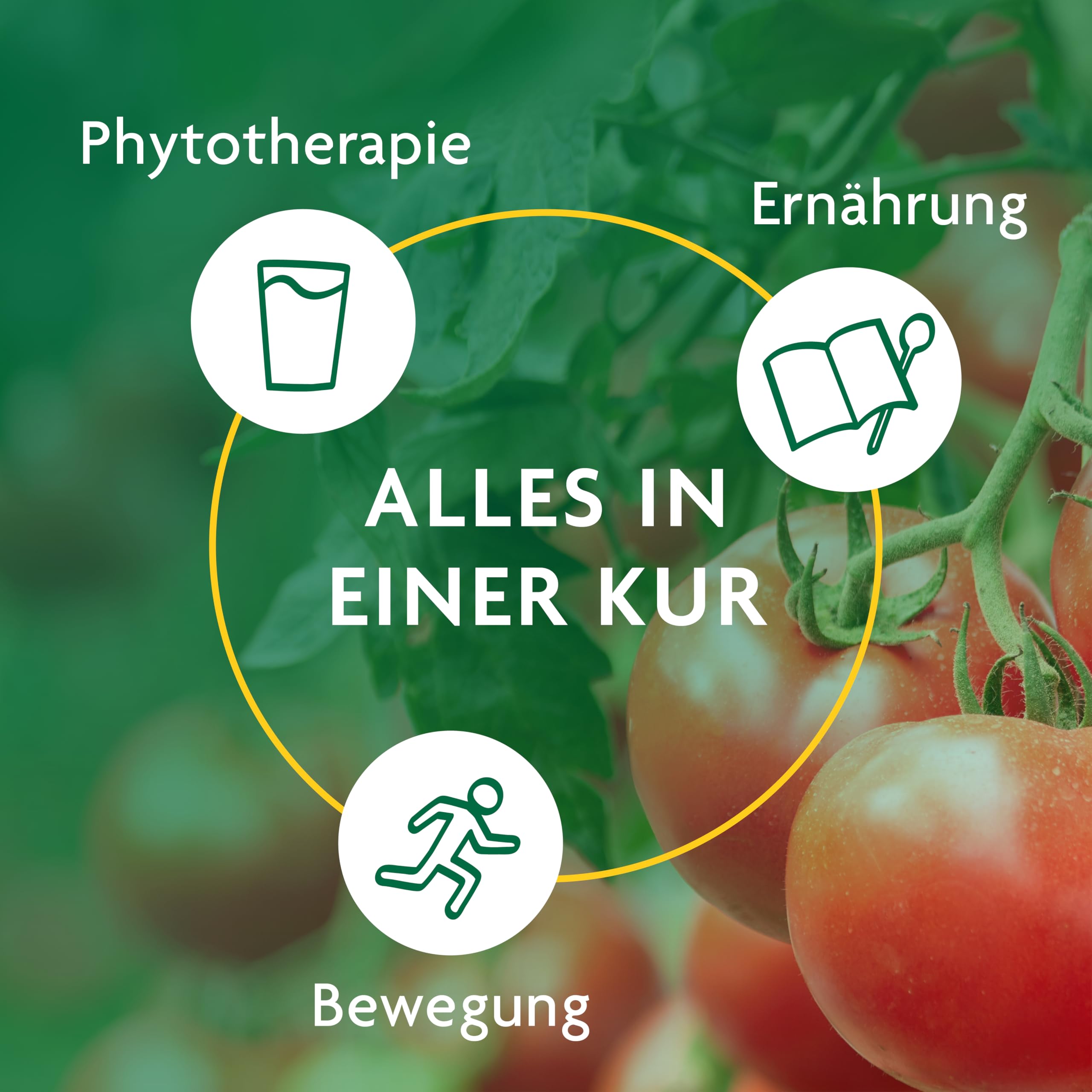 Schoenenberger - Schlankheits-Kur "Würzige Tomate - Der Klassiker" - Set mit Tomaten-, Artischocken-, Brennnessel- & Kartoffelsaft - gesundes Ernährungskonzept zum Abnehmen - Saftkur für 10 Tage - bio
