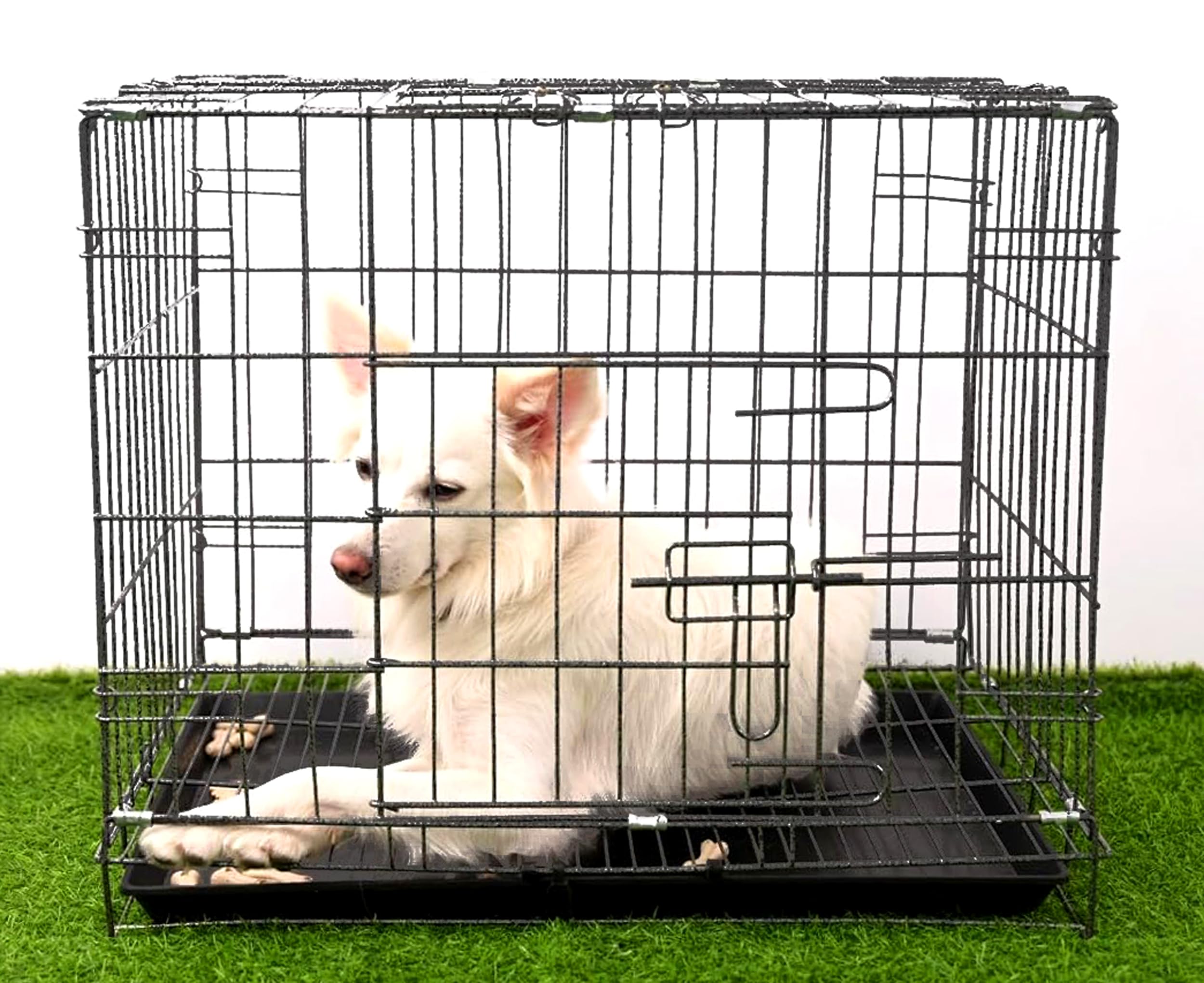 See full amazon price history chart for RvPaws Dog Cage Double Door Heavy Duty Folding Metal for Small Dogs and Puppies Length 24 Inch Length (Silver Black Color) RvPaws Dog Cage Double Door Heavy Duty Folding Metal for Small Dogs and Puppies Length 24 Inch Length (Silver Black Color) (B09JGH694B) Amazon Price History, Amazon Price Tracker