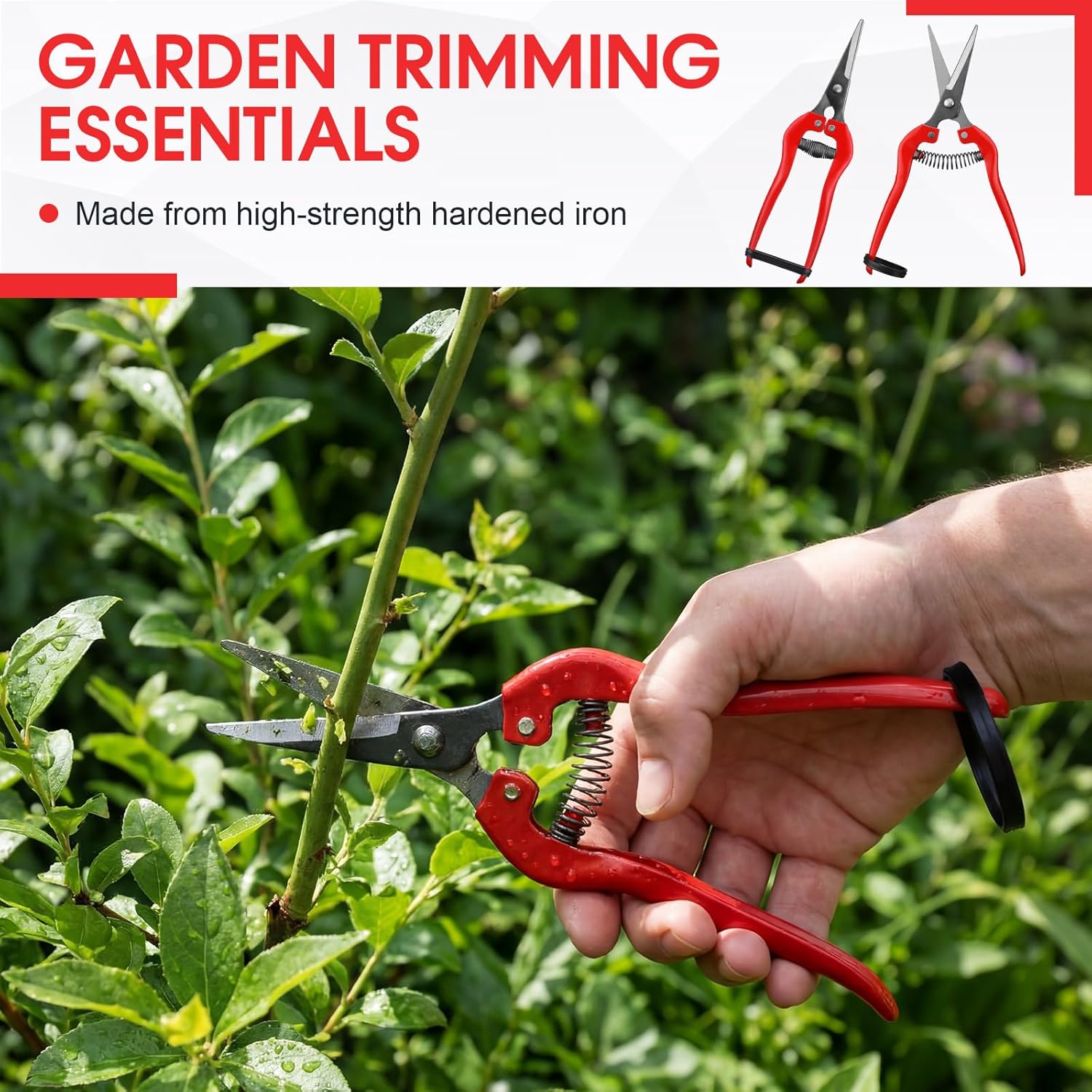 36 Pcs Straight Pruning Shears Florist Multi-tasking Garden Scissor Leaf Trimmer Floral Fruits Picking Sharp Gardening Snips for Arranging Flowers Harvesting Herbs Fruits Vegetables