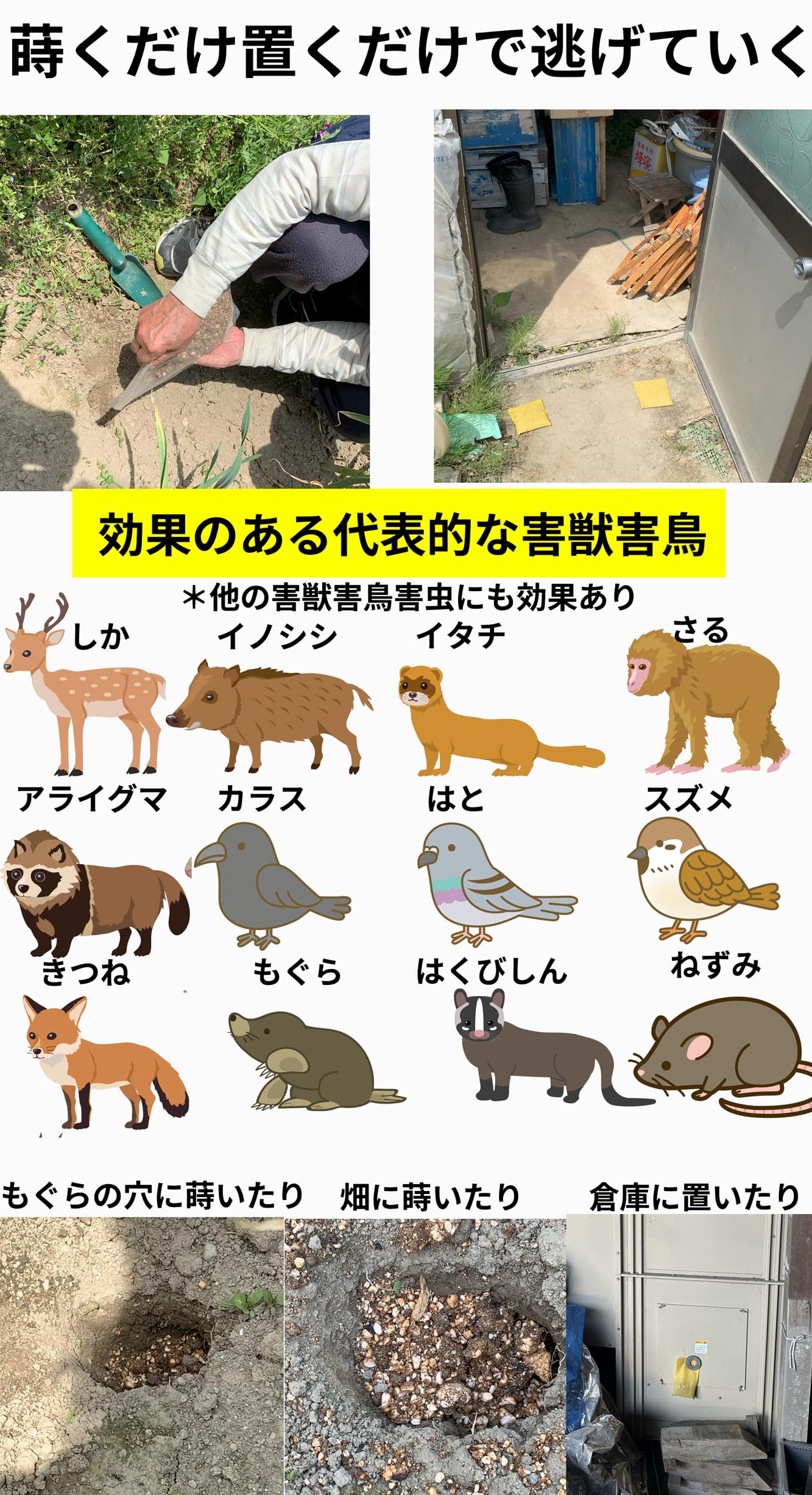 Amazon.co.jp: 有機JAS適合資材 天然ヒトデ 忌避剤 マリンスター 業務