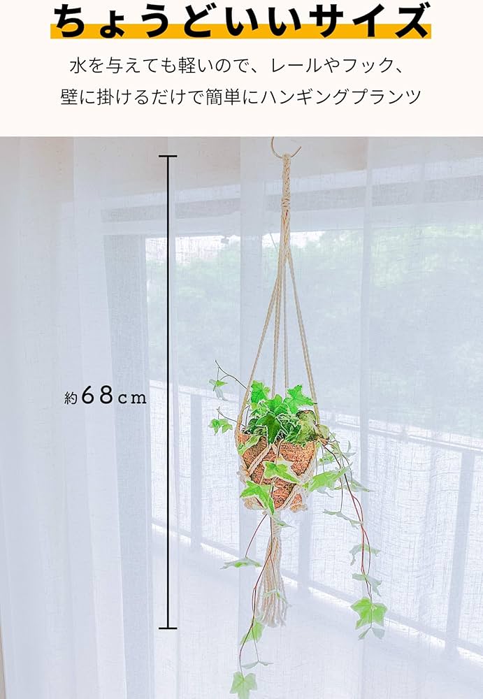Amazon｜[ miipas ] アイビー 観葉植物 吊り下げ ハンギング 本物 天井