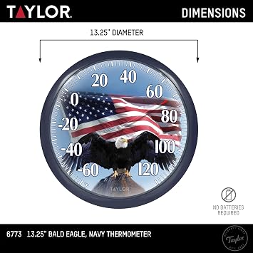 Taylor Bald Eagle Indoor Outdoor Dial Thermometer, Easy to Read Wall Decor for Patio, Pool, Yard, Garden or Garage, 12x14-inch, Charcoal Bezel